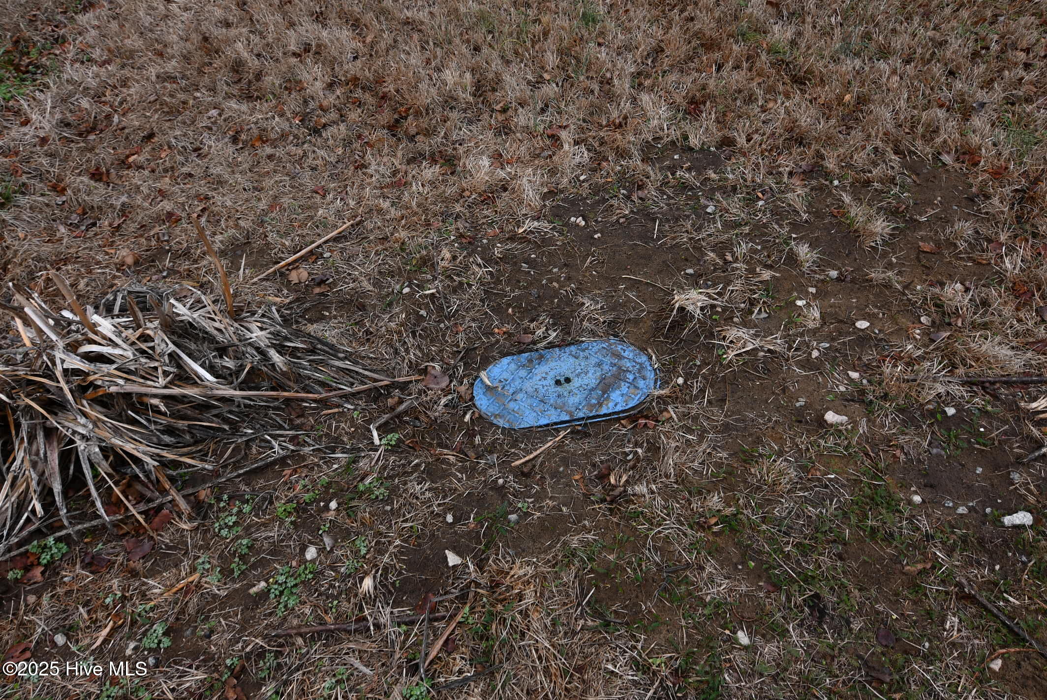 8703 Newland Road Property Photo 27