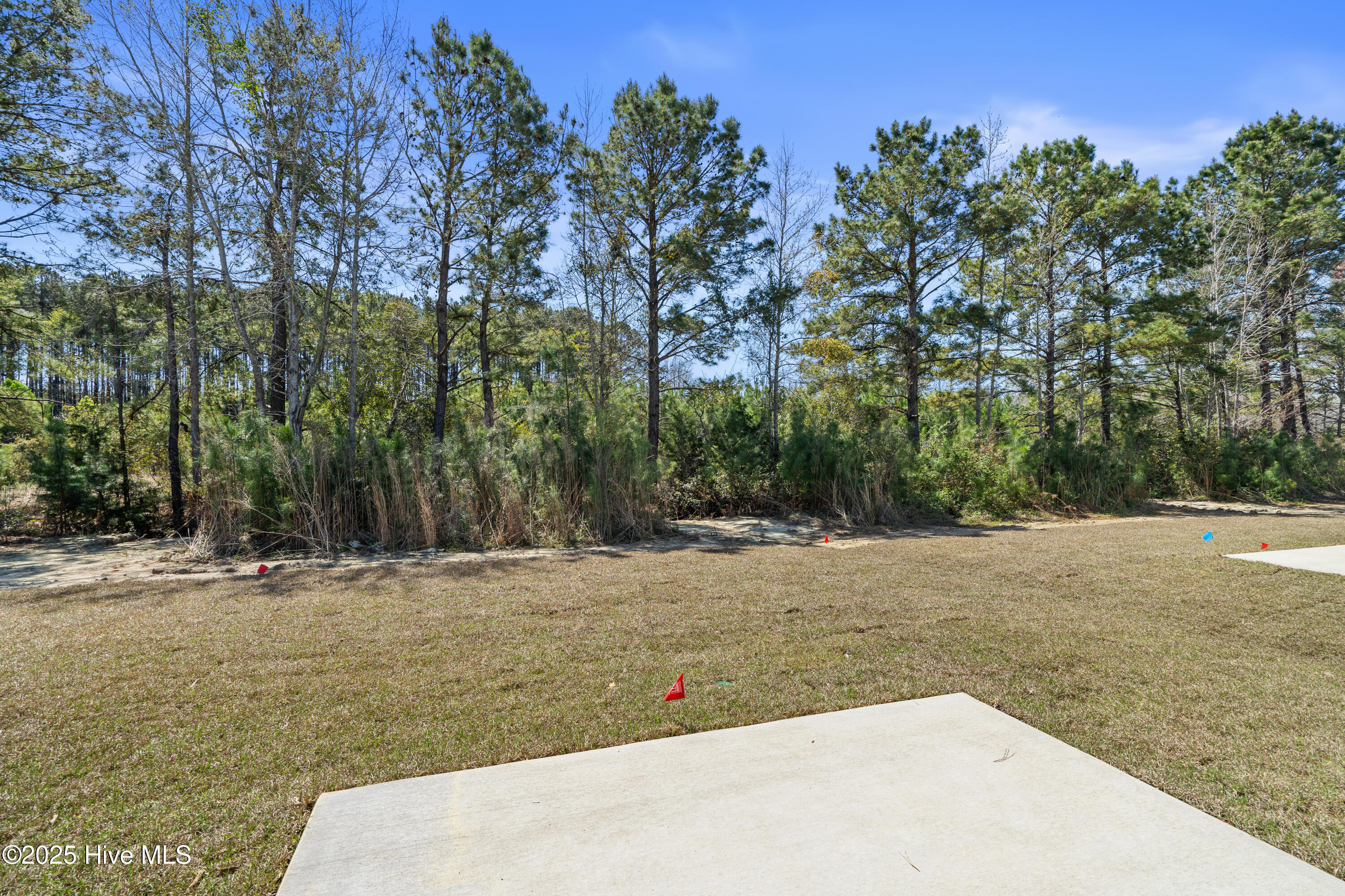 6934 Seaside Palms Place Property Photo 22