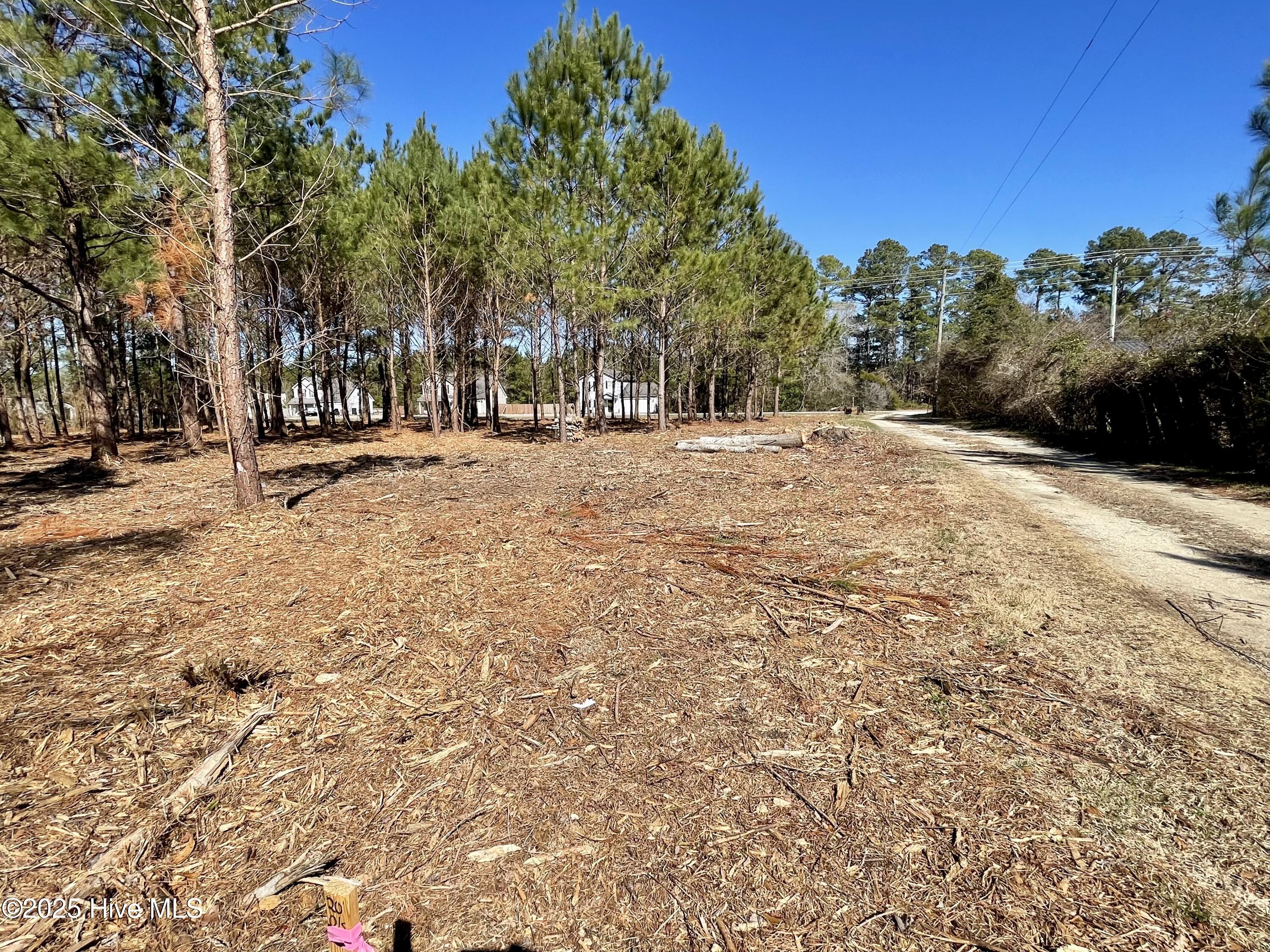Lot 3 King Road Property Photo 11