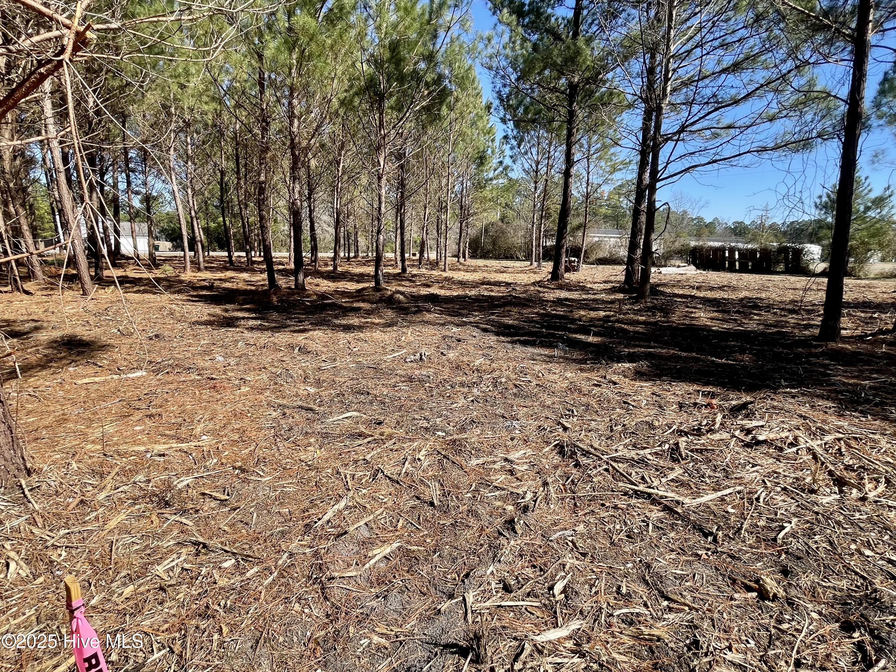 Lot 3 King Road Property Photo 12