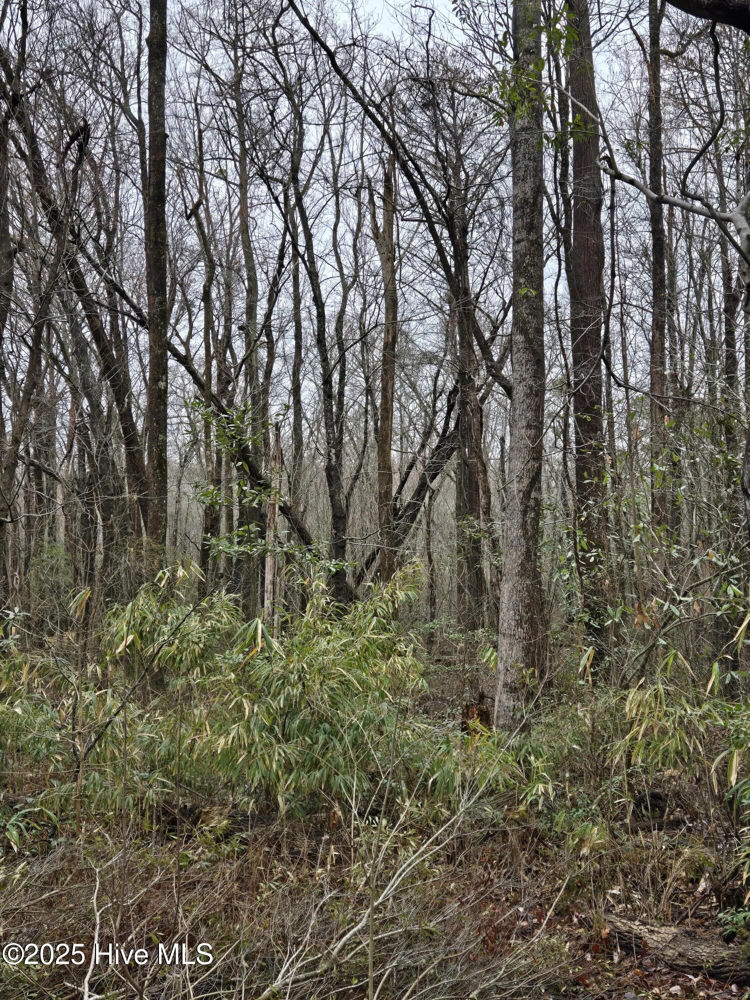 0 Pintail Lane Property Photo 4