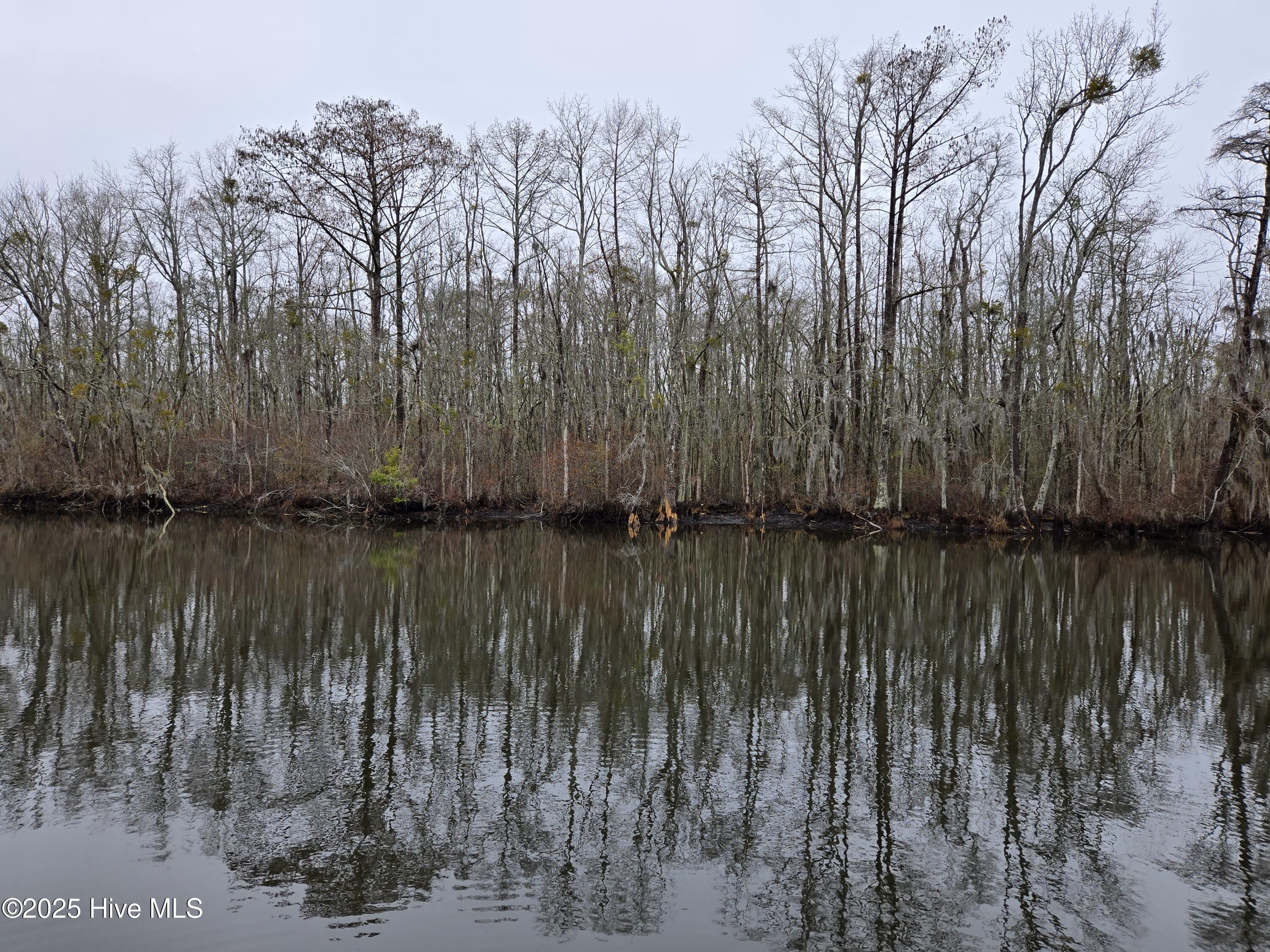 0 Pintail Lane Property Photo 5
