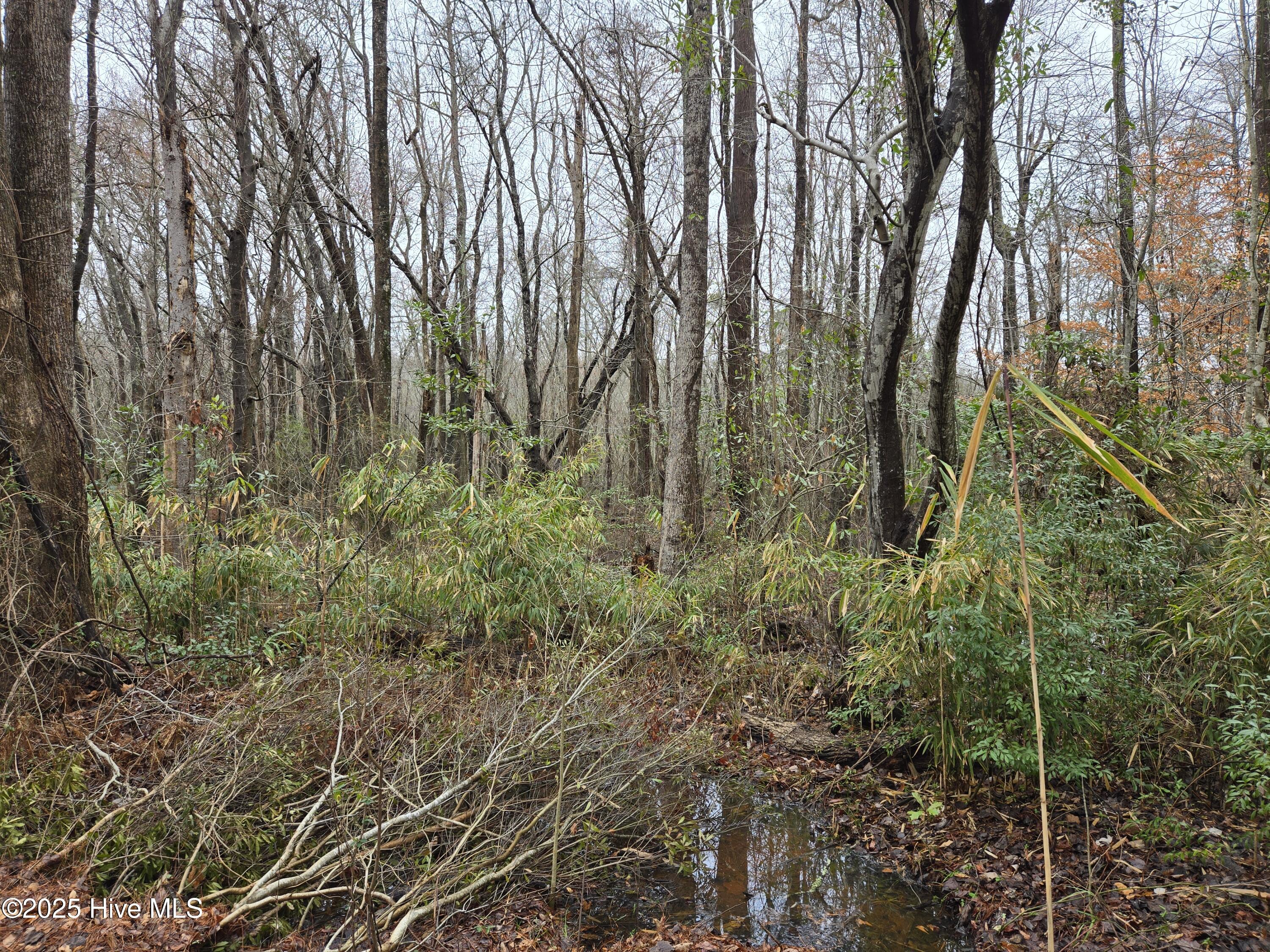0 Pintail Lane Property Photo 7