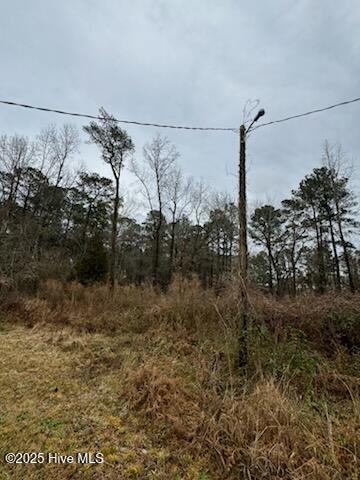 0 Firetower Road Property Photo 3