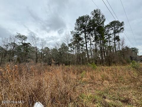 0 Firetower Road Property Photo 4