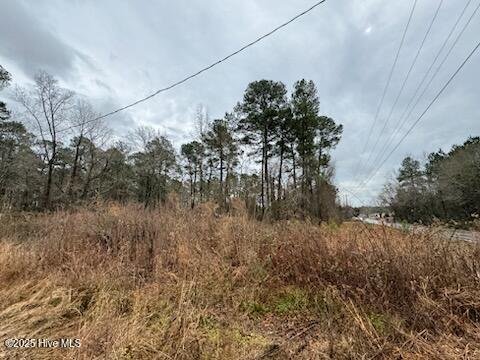 0 Firetower Road Property Photo 5