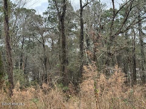 0 Firetower Road Property Photo 6
