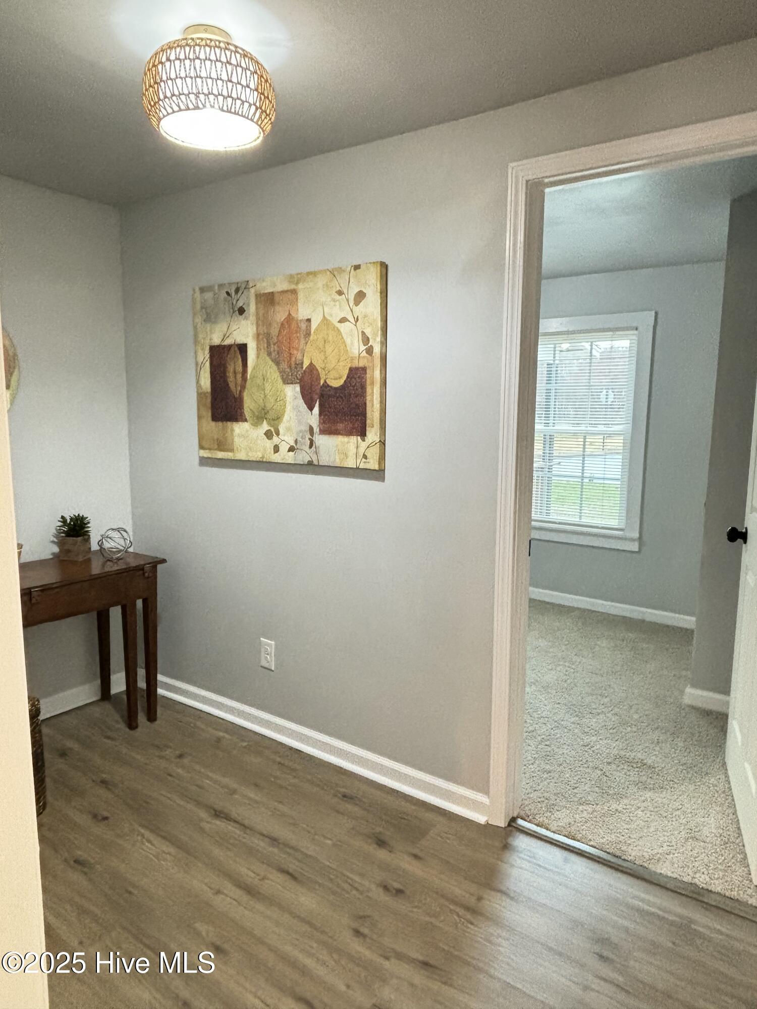 111 Lawrence Street Property Photo 30