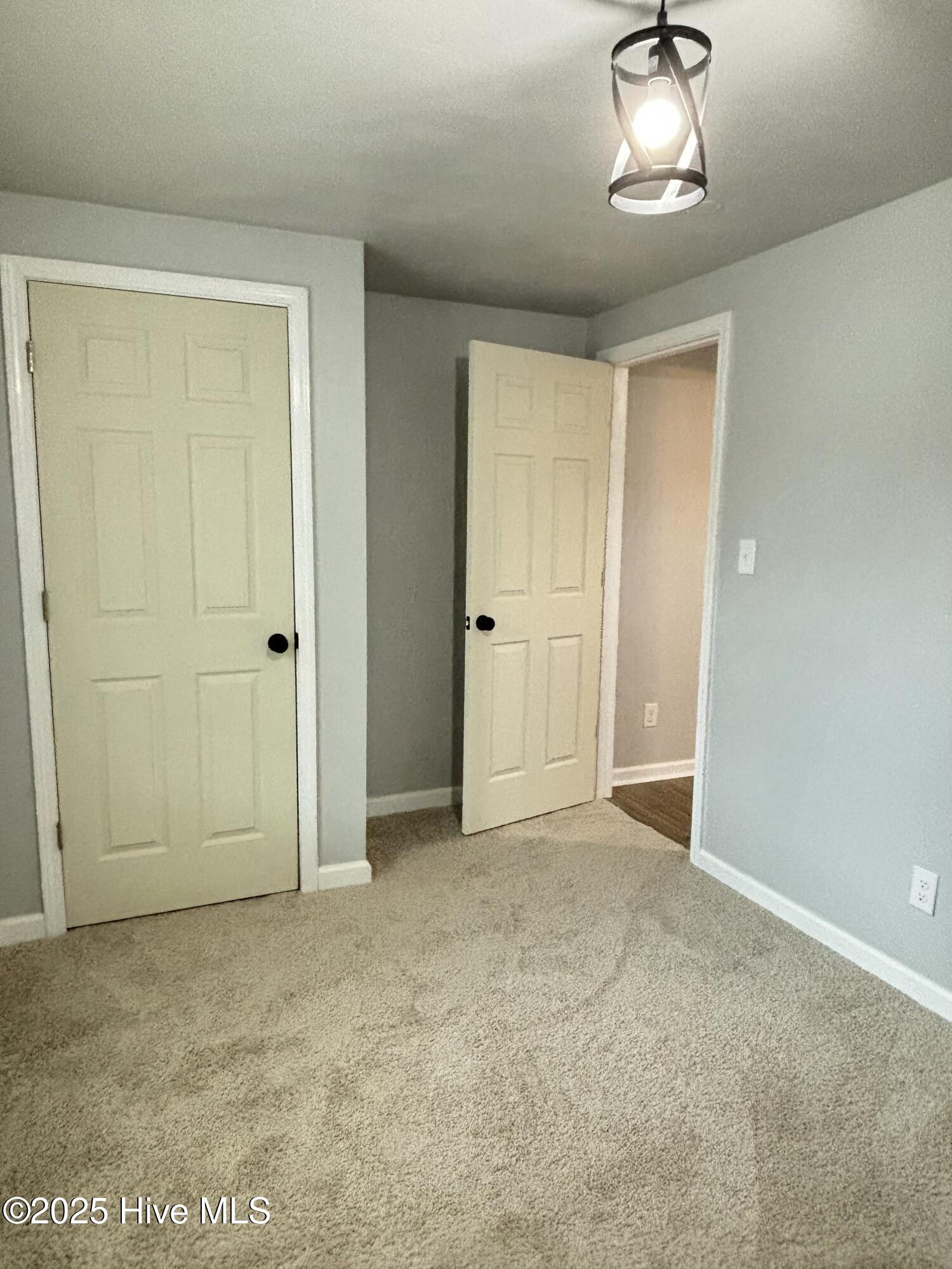 111 Lawrence Street Property Photo 31