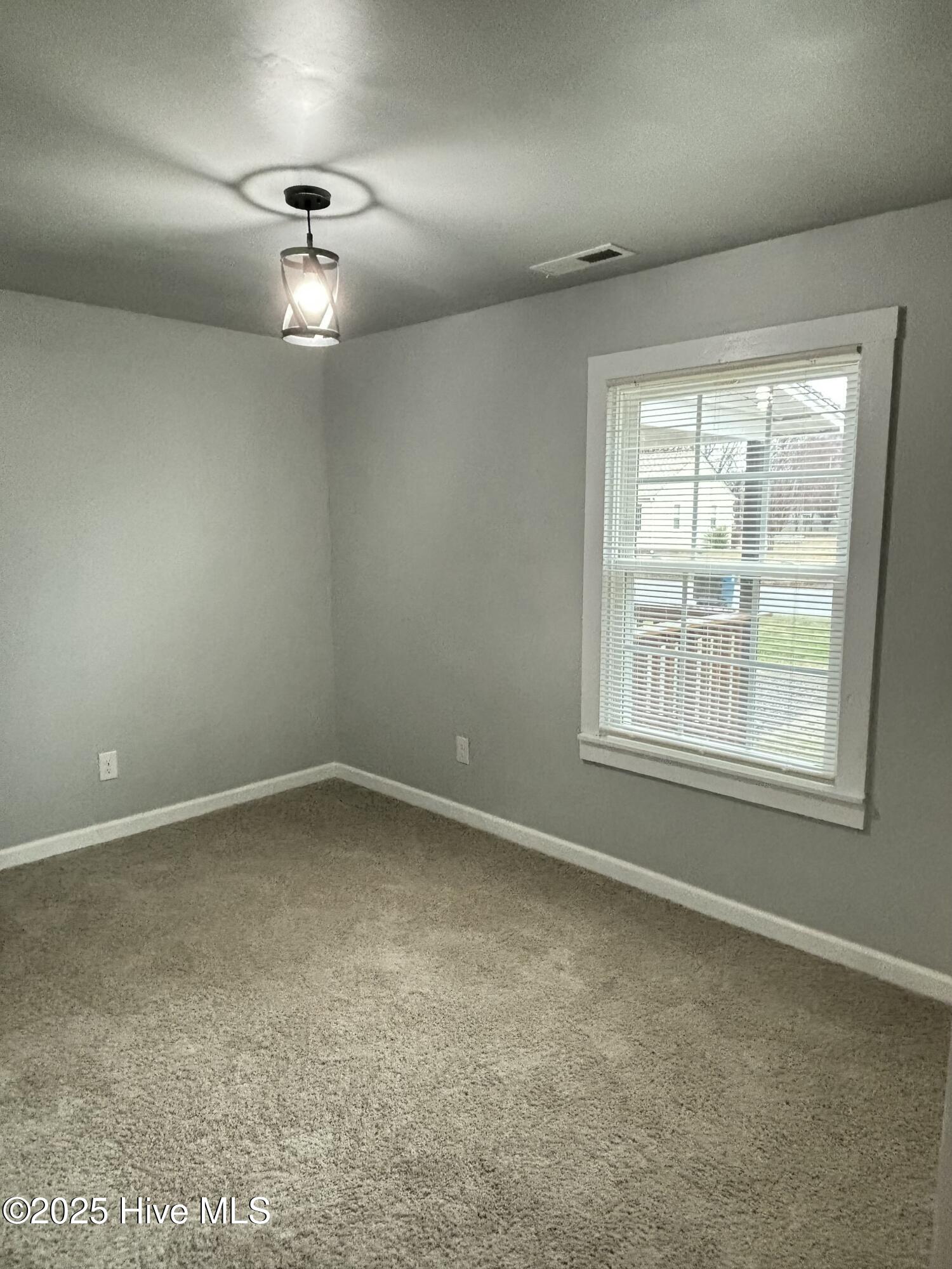 111 Lawrence Street Property Photo 32