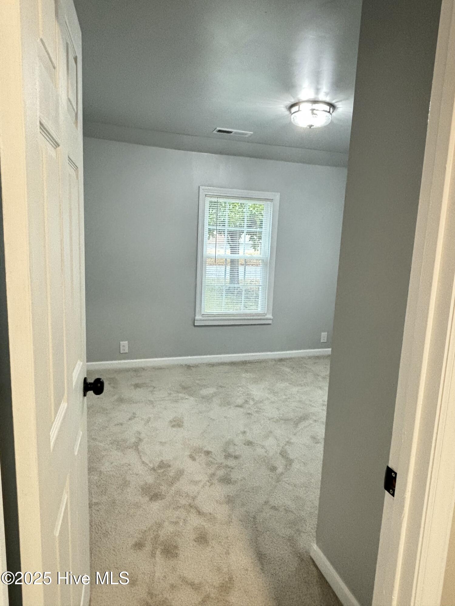 111 Lawrence Street Property Photo 33