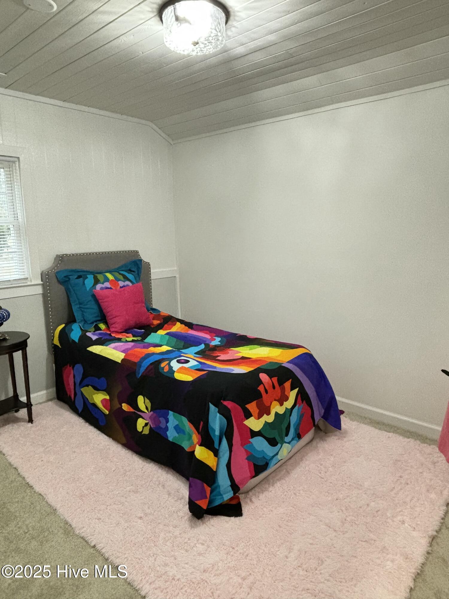 111 Lawrence Street Property Photo 41