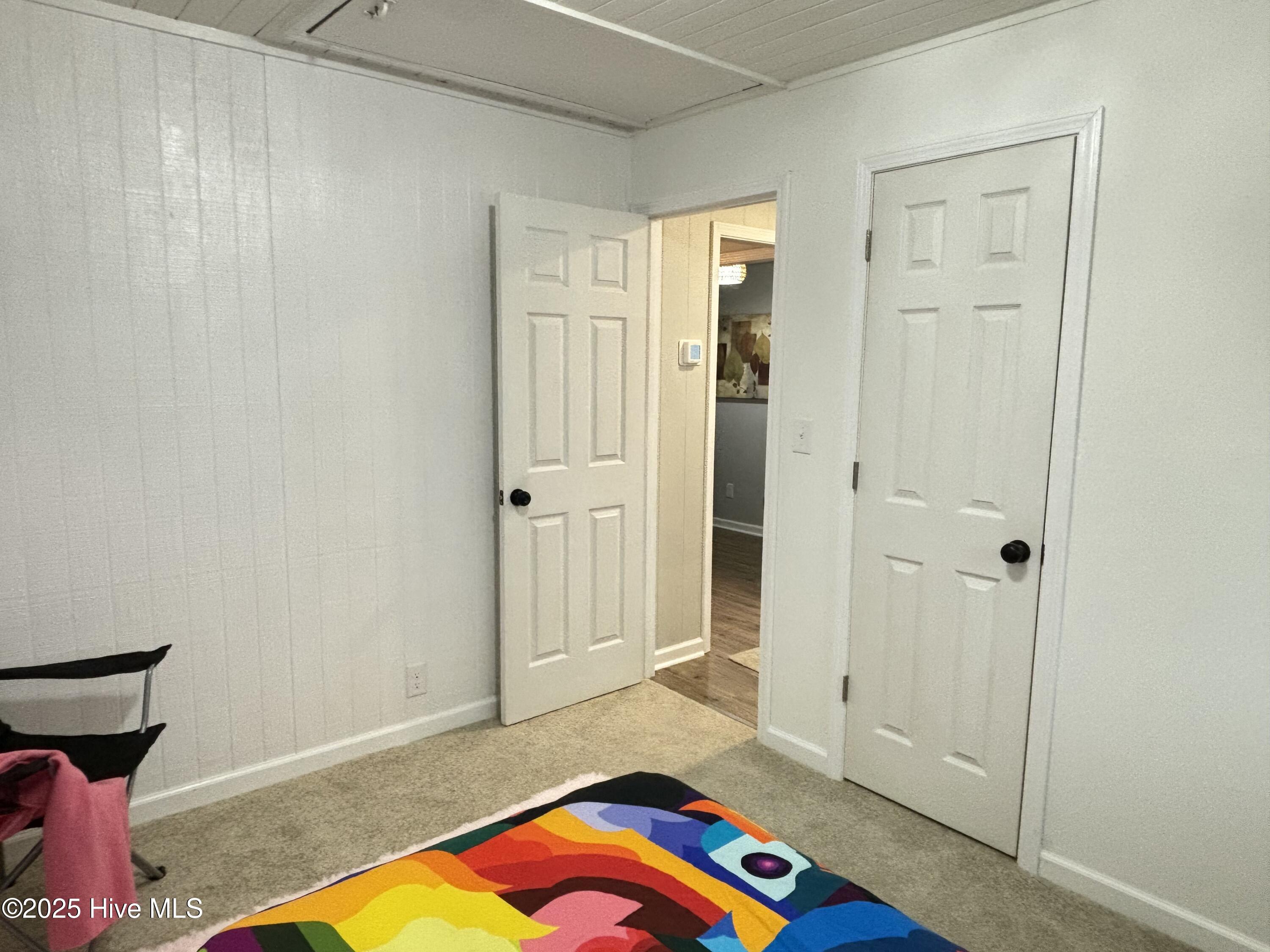 111 Lawrence Street Property Photo 43