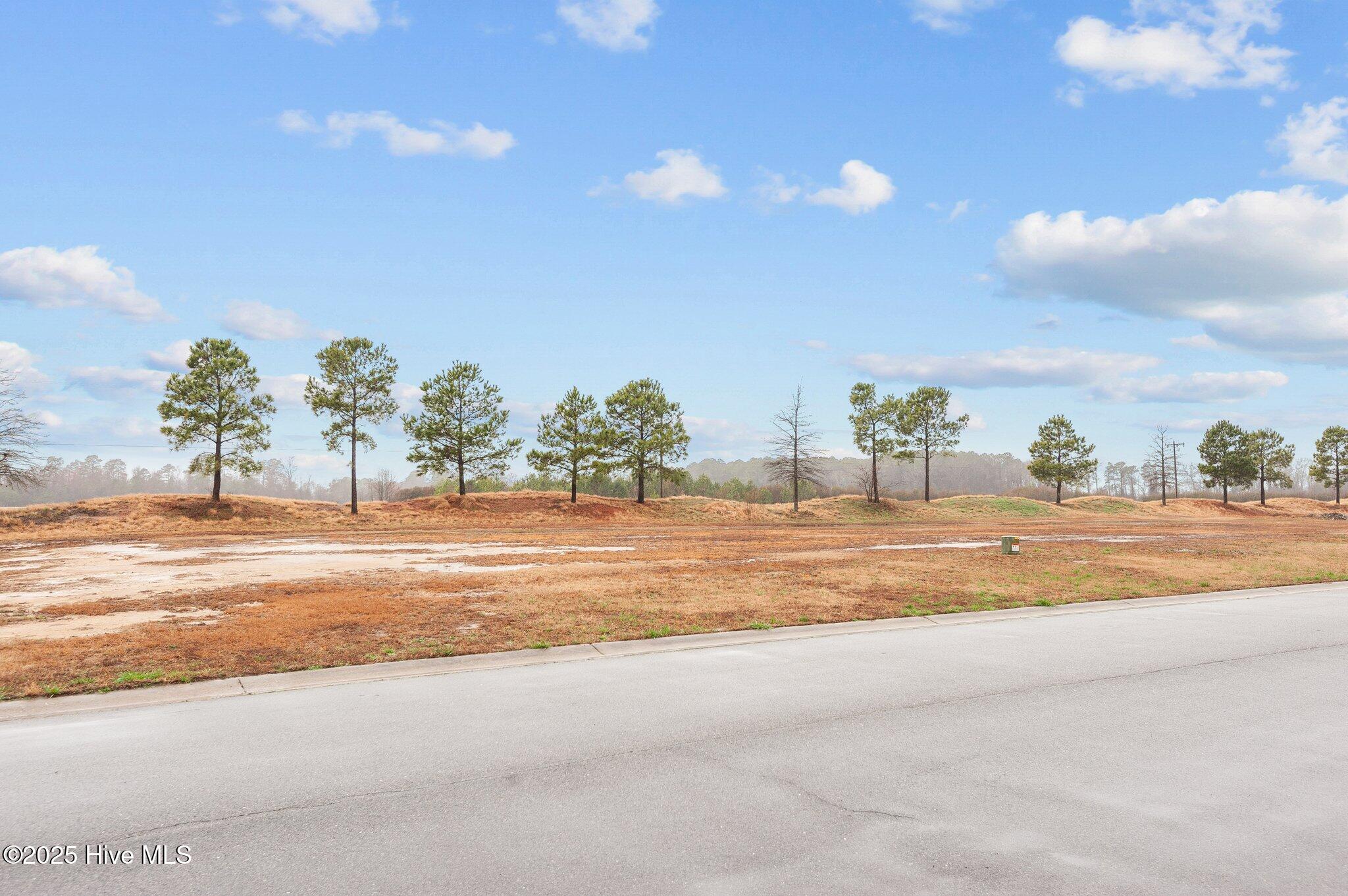 182 Pinewood Cove Property Photo 6