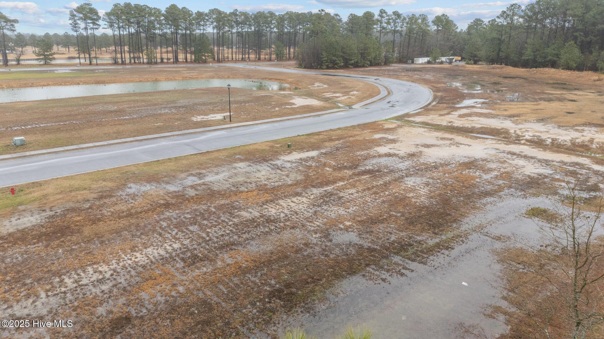 182 Pinewood Cove Property Photo 7
