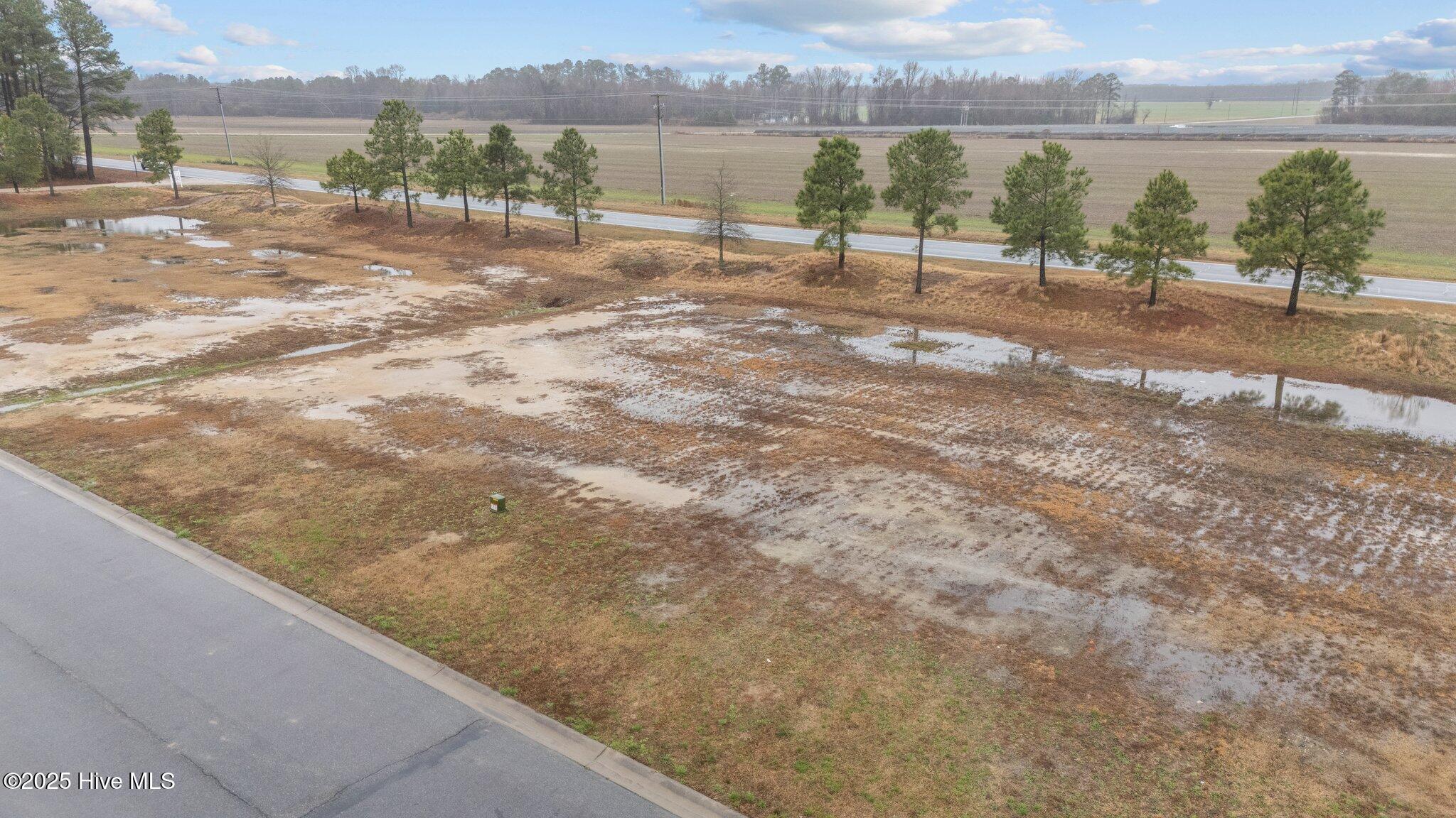182 Pinewood Cove Property Photo 9