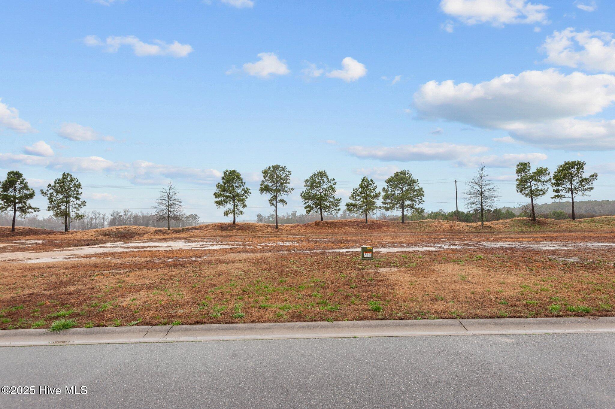 182 Pinewood Cove Property Photo 12