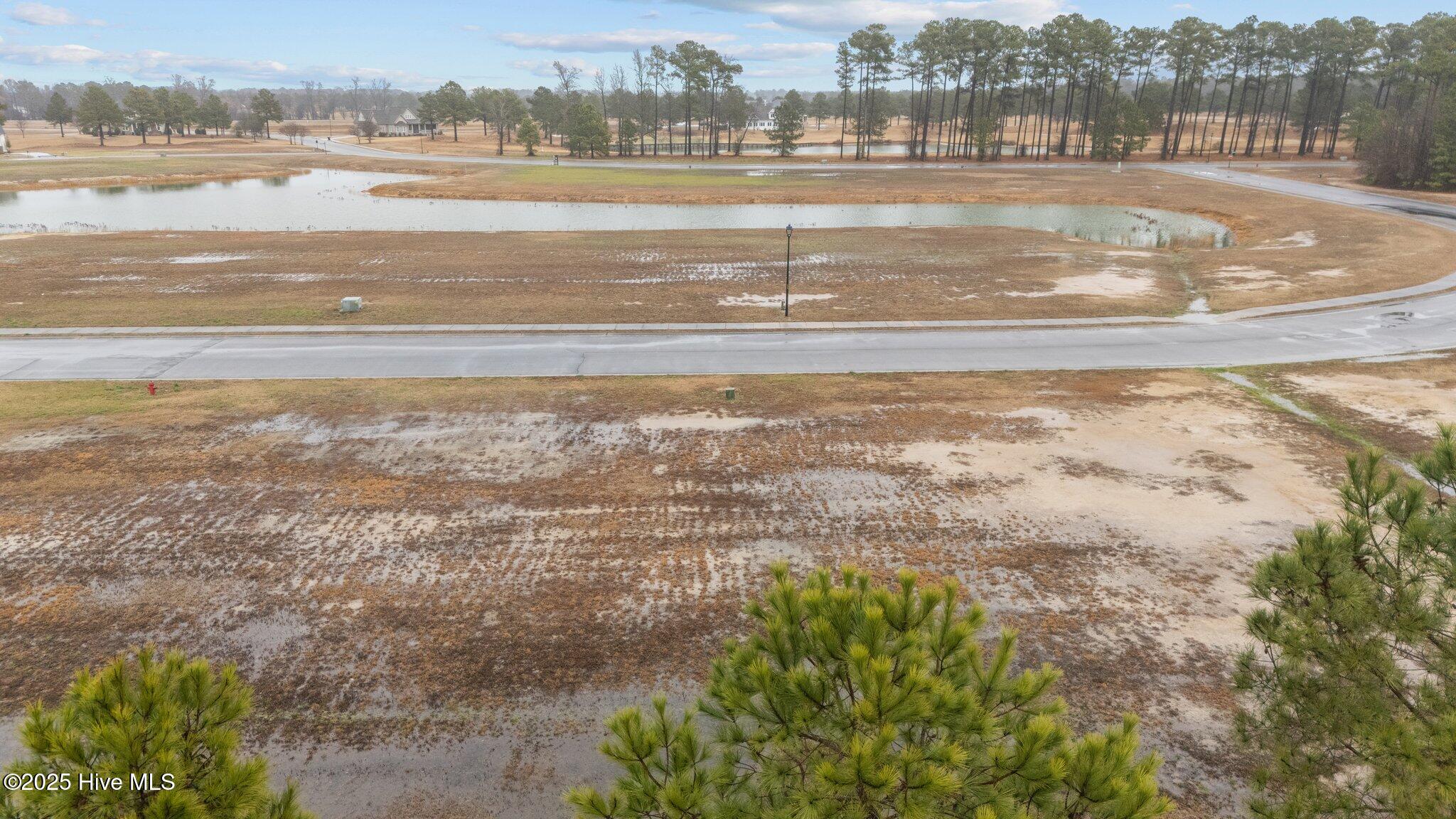 182 Pinewood Cove Property Photo 22