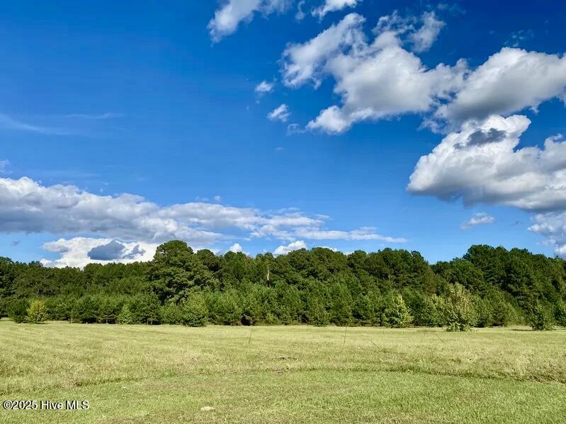 Tbd Sandhill Road Property Photo 5