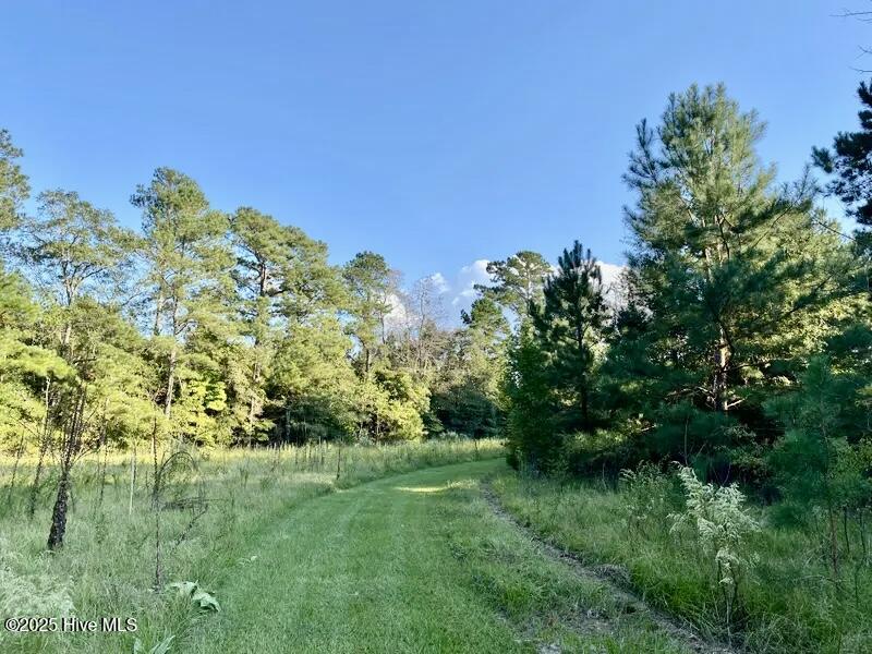 Tbd Sandhill Road Property Photo 9