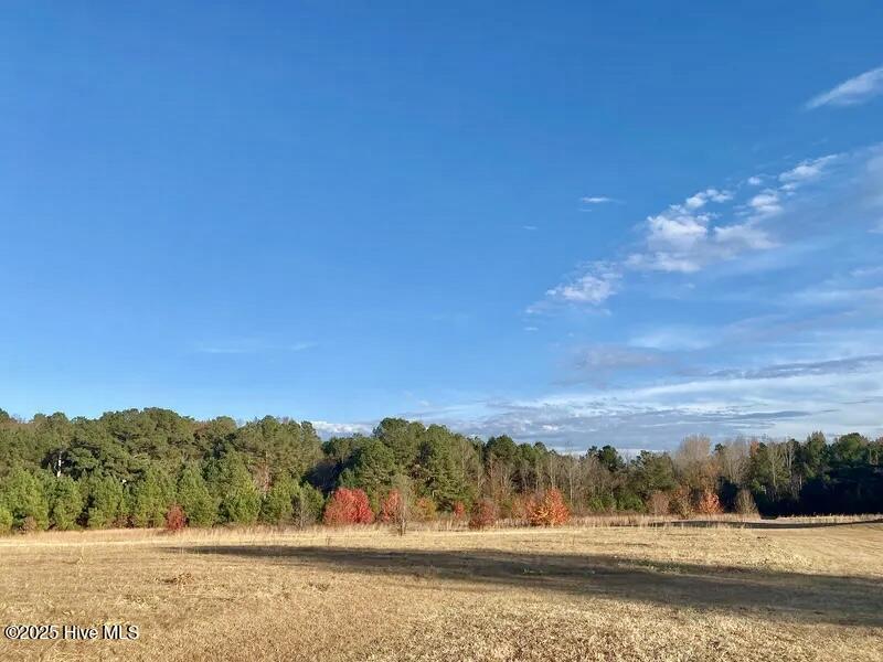 Tbd Sandhill Road Property Photo 11