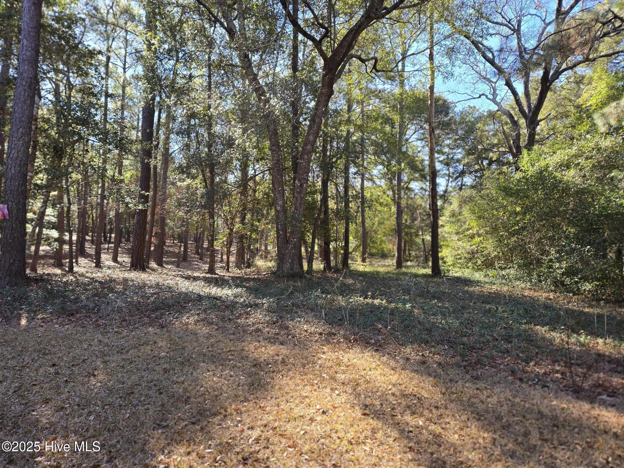 711 Mallard Court Property Photo 4