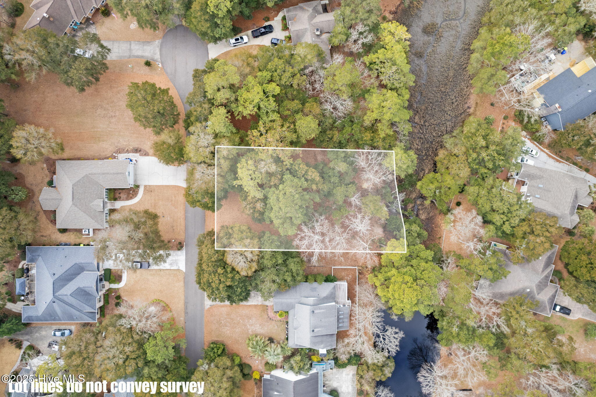1736 Heron Point Road Property Photo 6