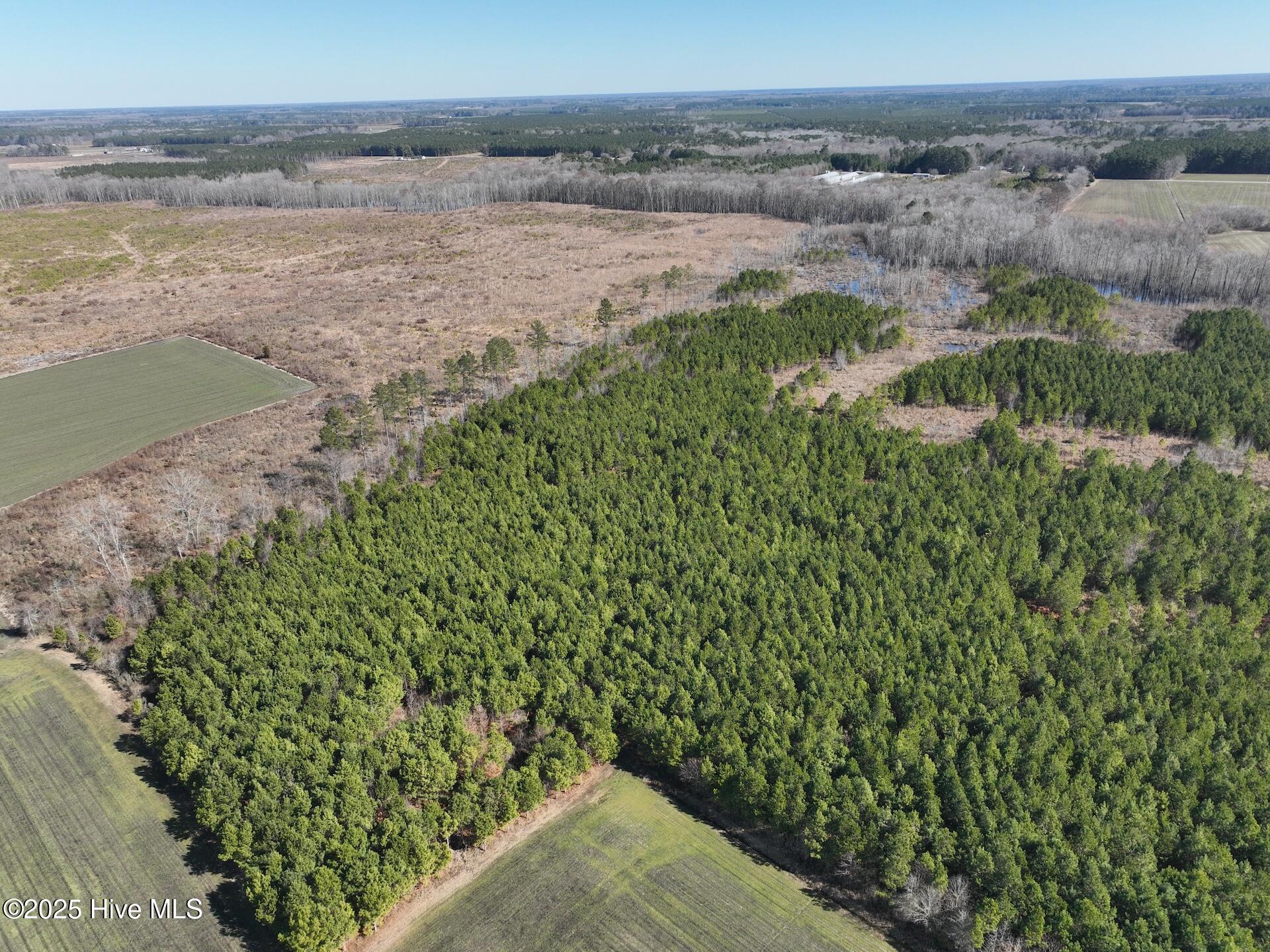 0 Middle Swamp Road Property Photo 3