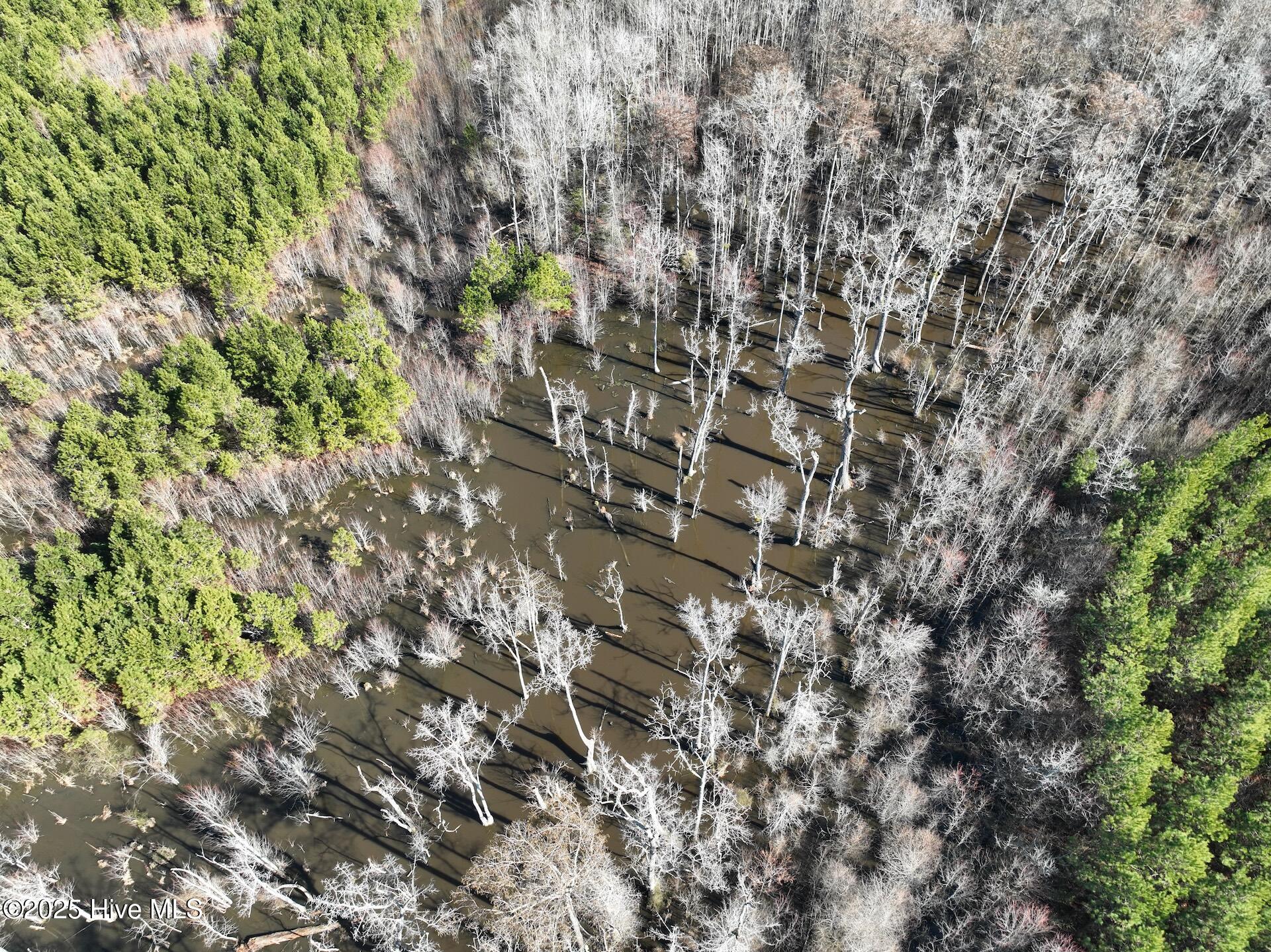 0 Middle Swamp Road Property Photo 6