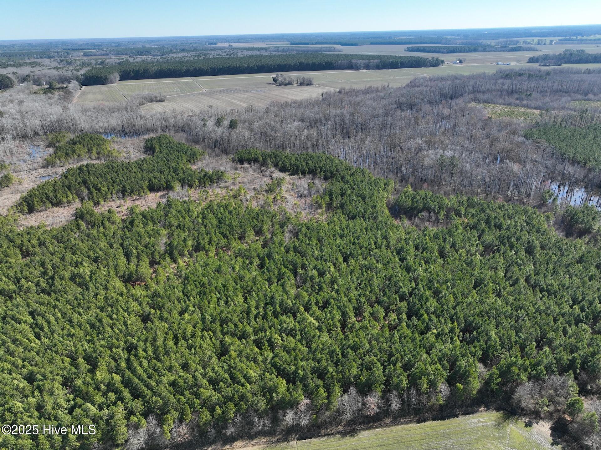 0 Middle Swamp Road Property Photo 12