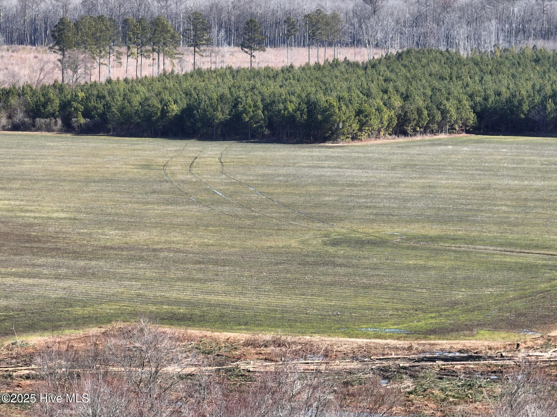 0 Middle Swamp Road Property Photo 22