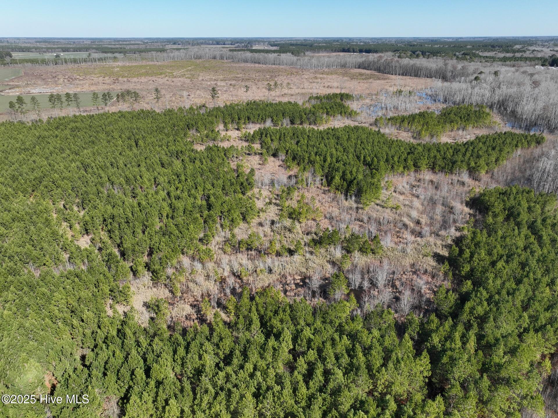 0 Middle Swamp Road Property Photo 31