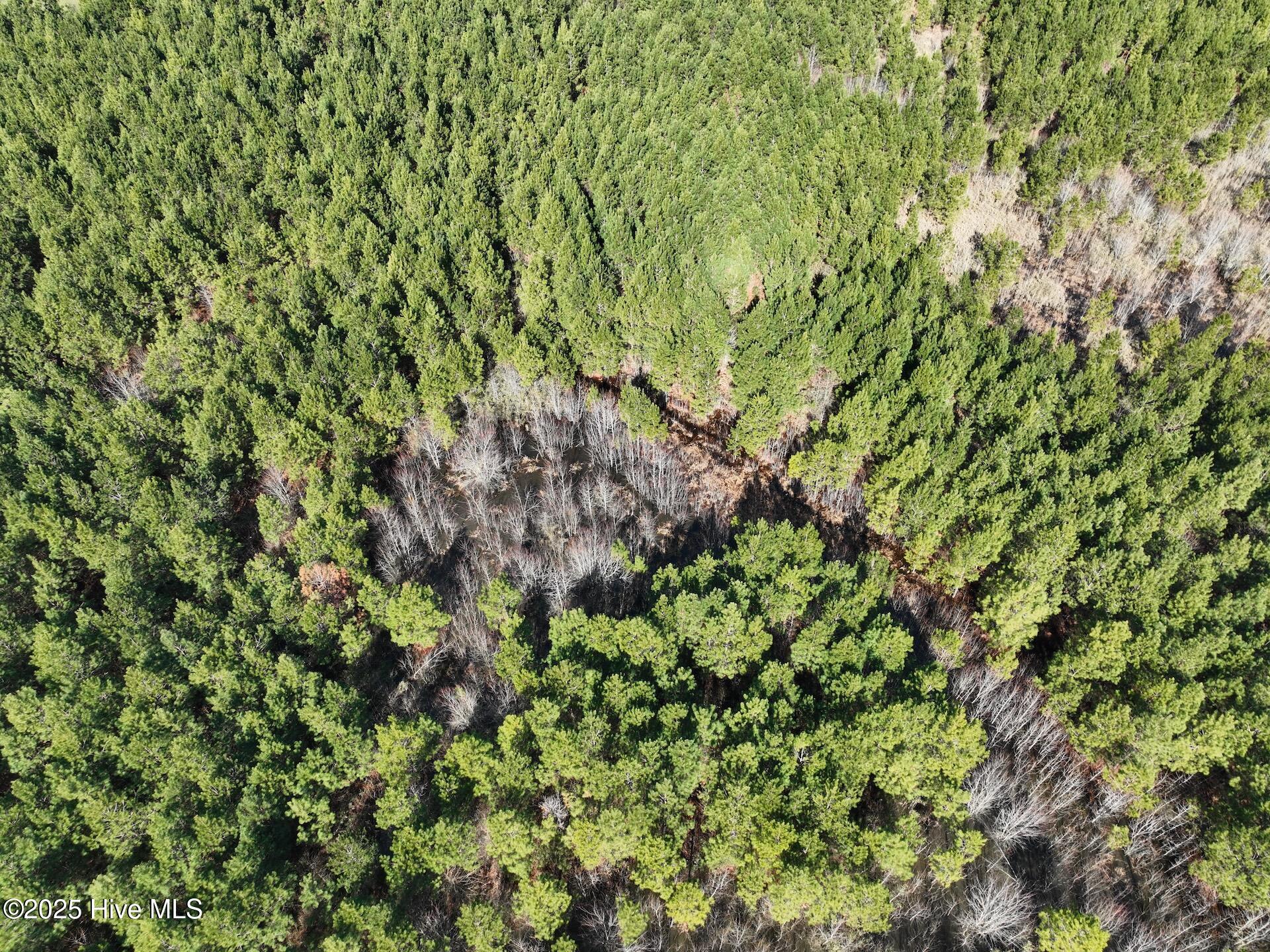 0 Middle Swamp Road Property Photo 32