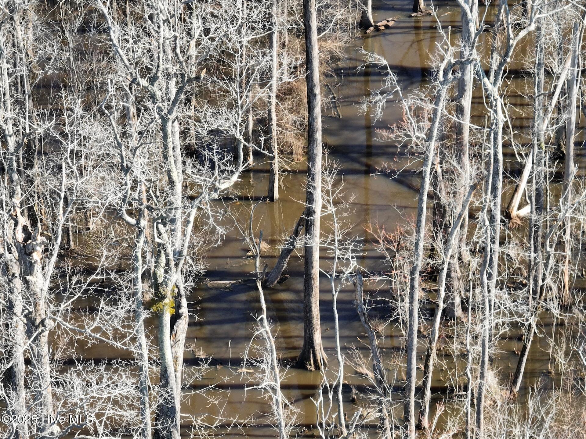 0 Middle Swamp Road Property Photo 34