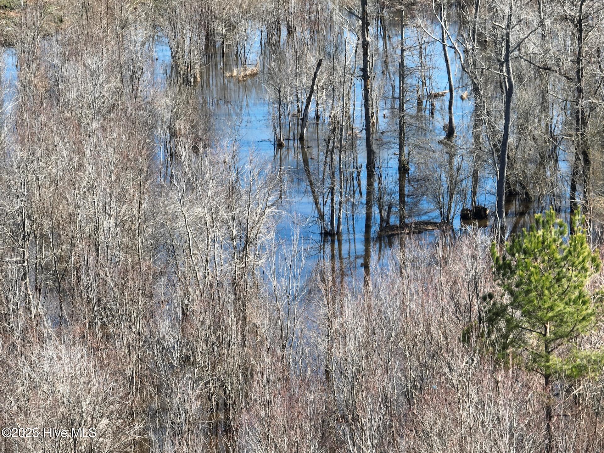 0 Middle Swamp Road Property Photo 39