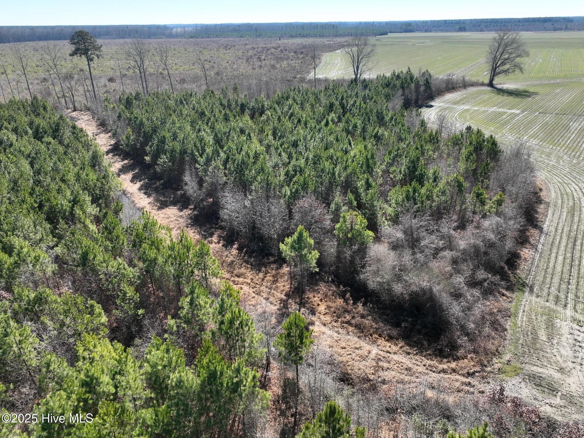 230 Middle Swamp Road Property Photo 9