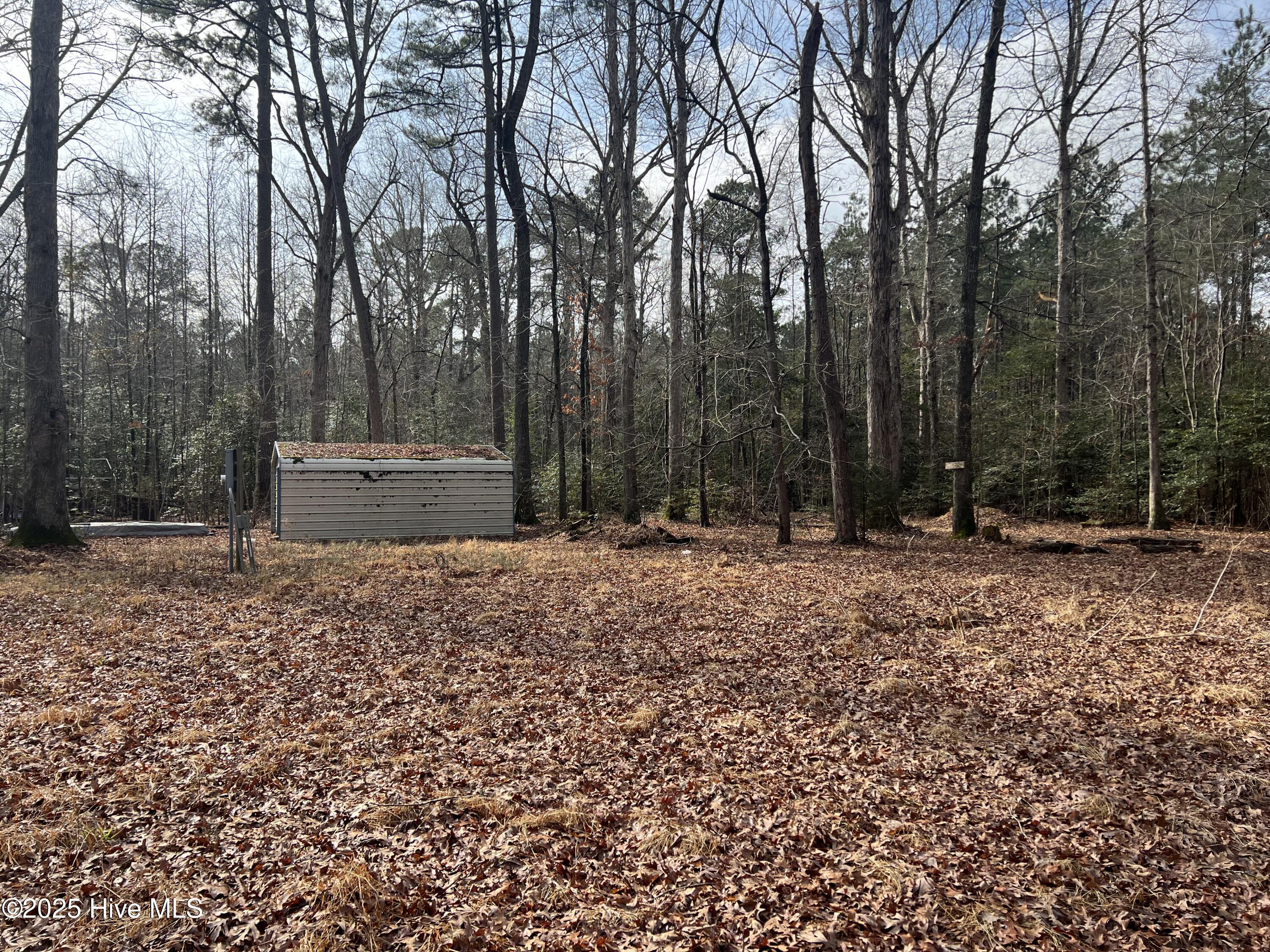 189 Horace Carter Road Property Photo