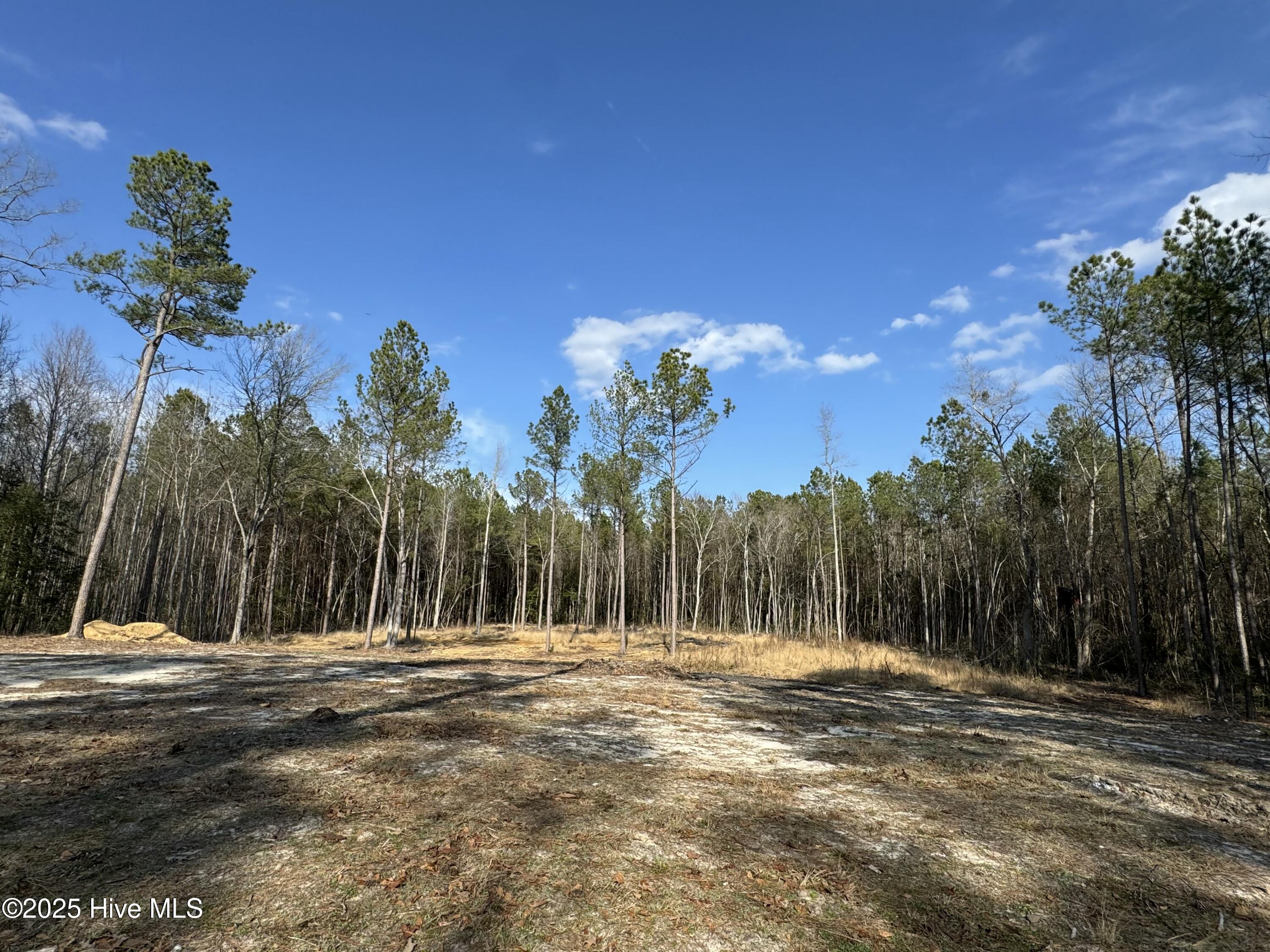 979 Aiken Road Property Photo 7