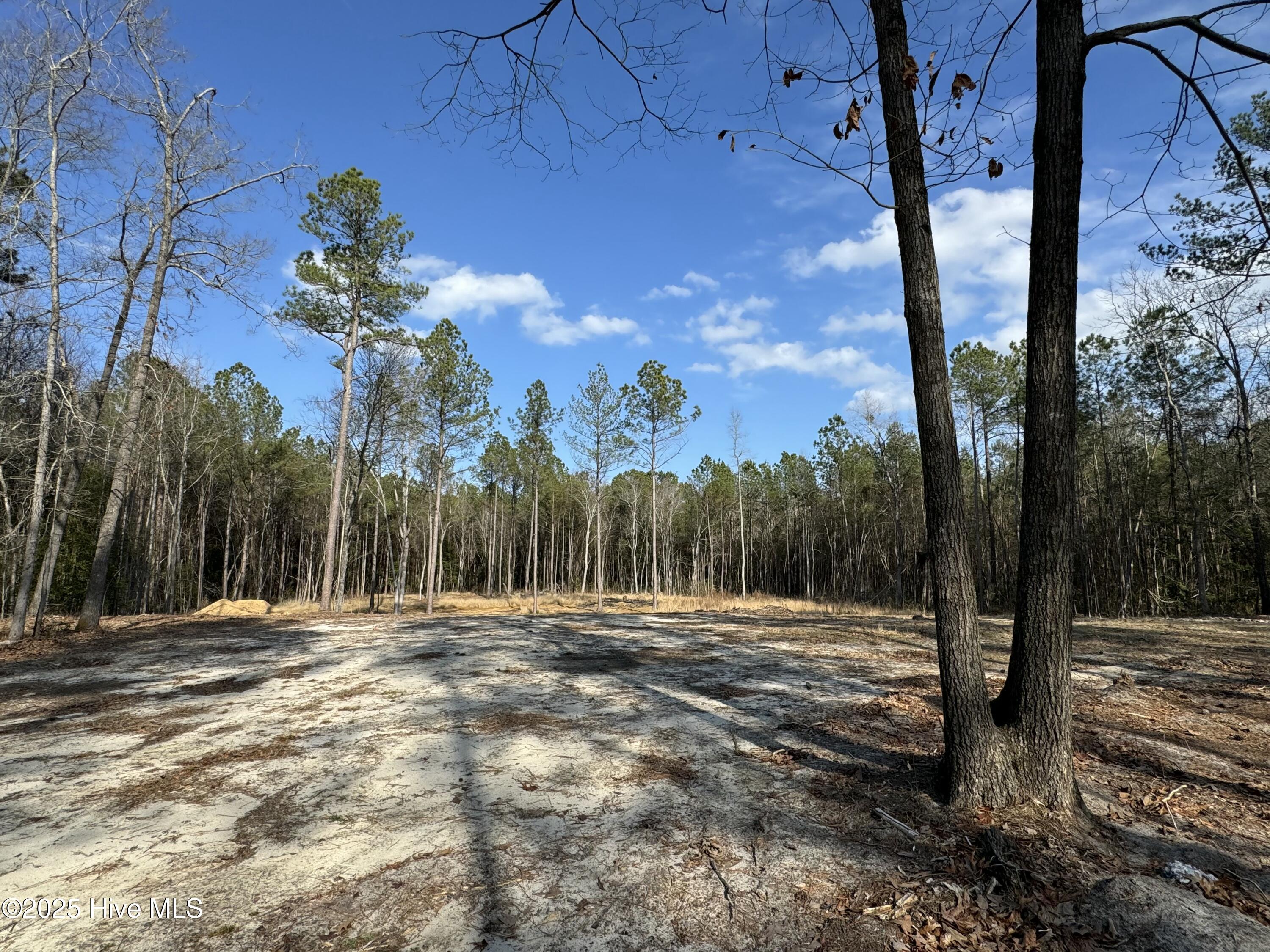 979 Aiken Road Property Photo 9