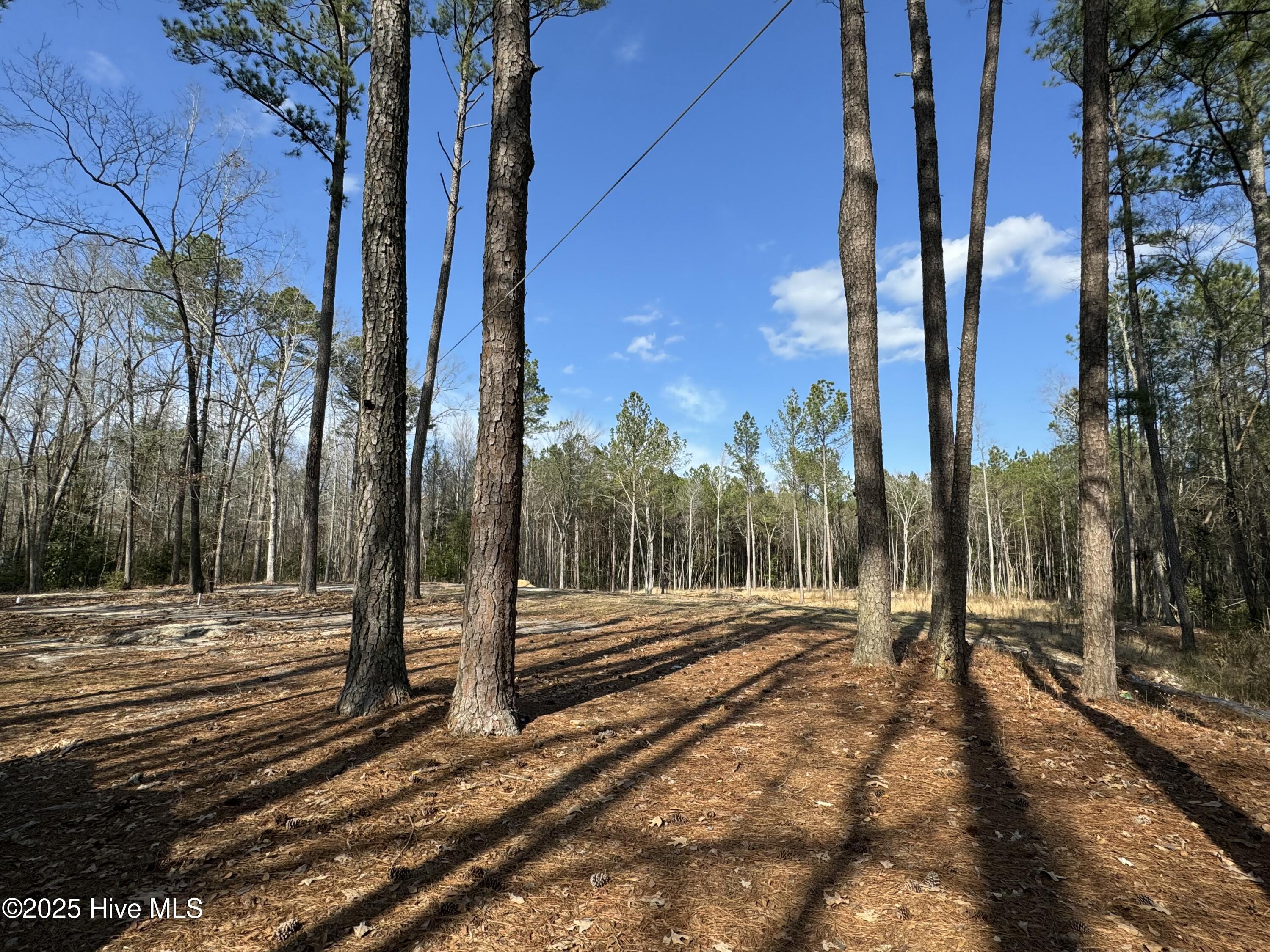 979 Aiken Road Property Photo 12