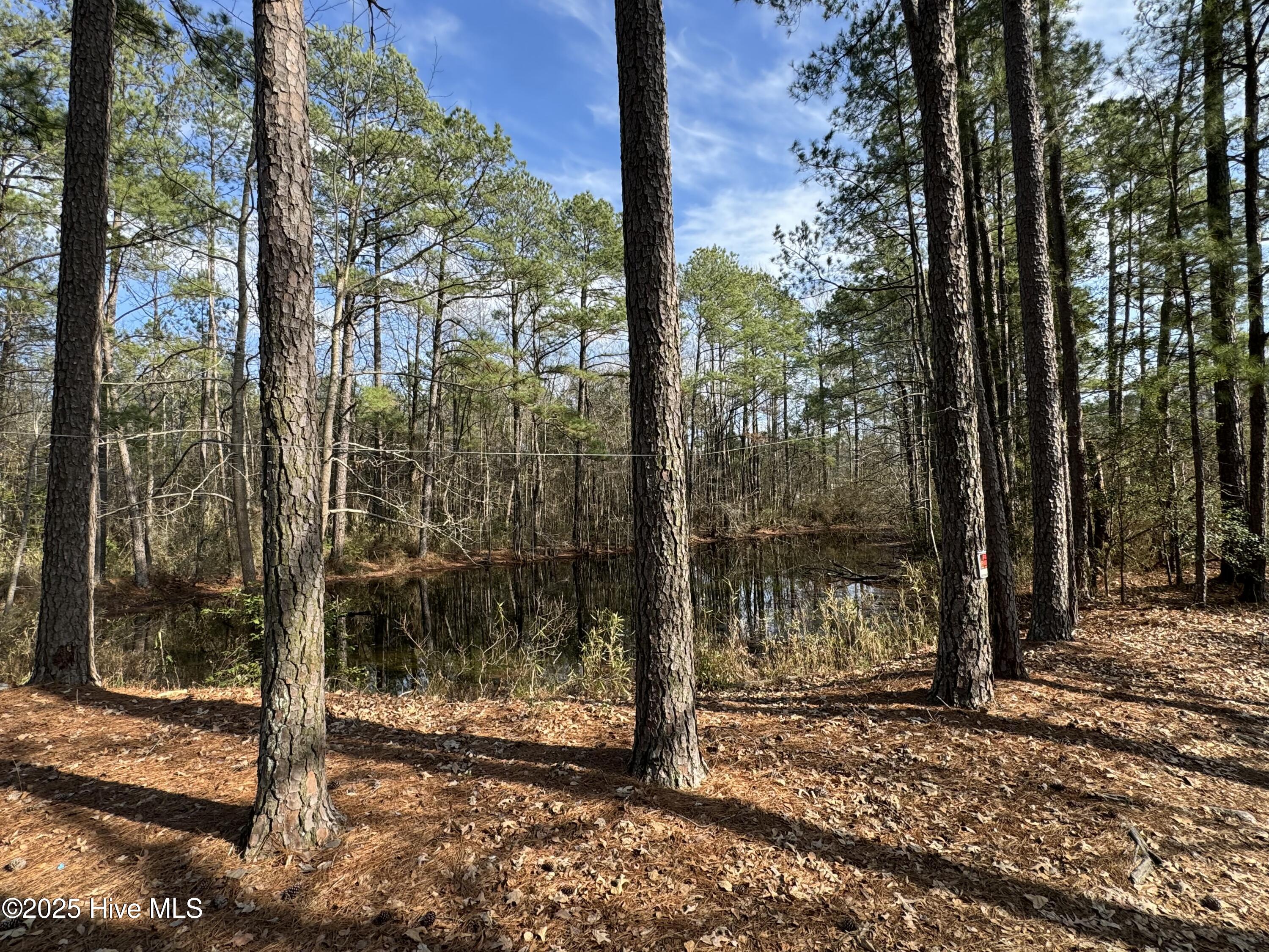 979 Aiken Road Property Photo 13