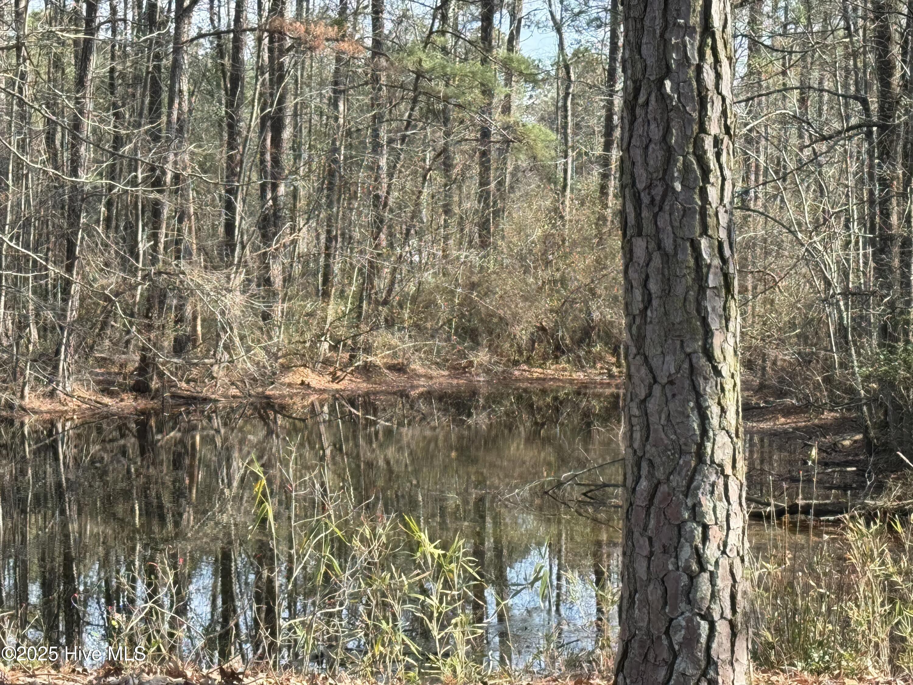 979 Aiken Road Property Photo 14