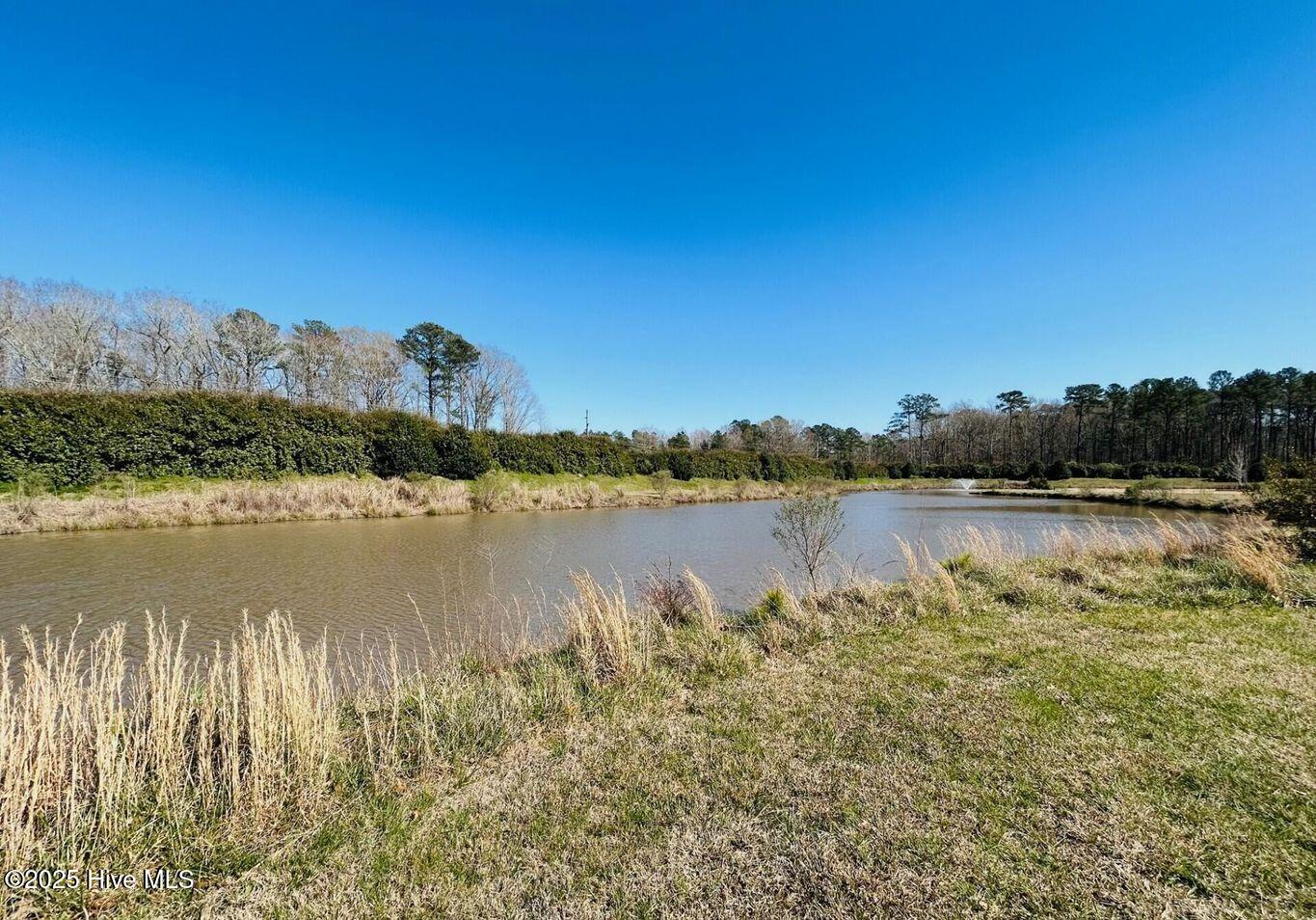 35 Palomino Court Property Photo 5