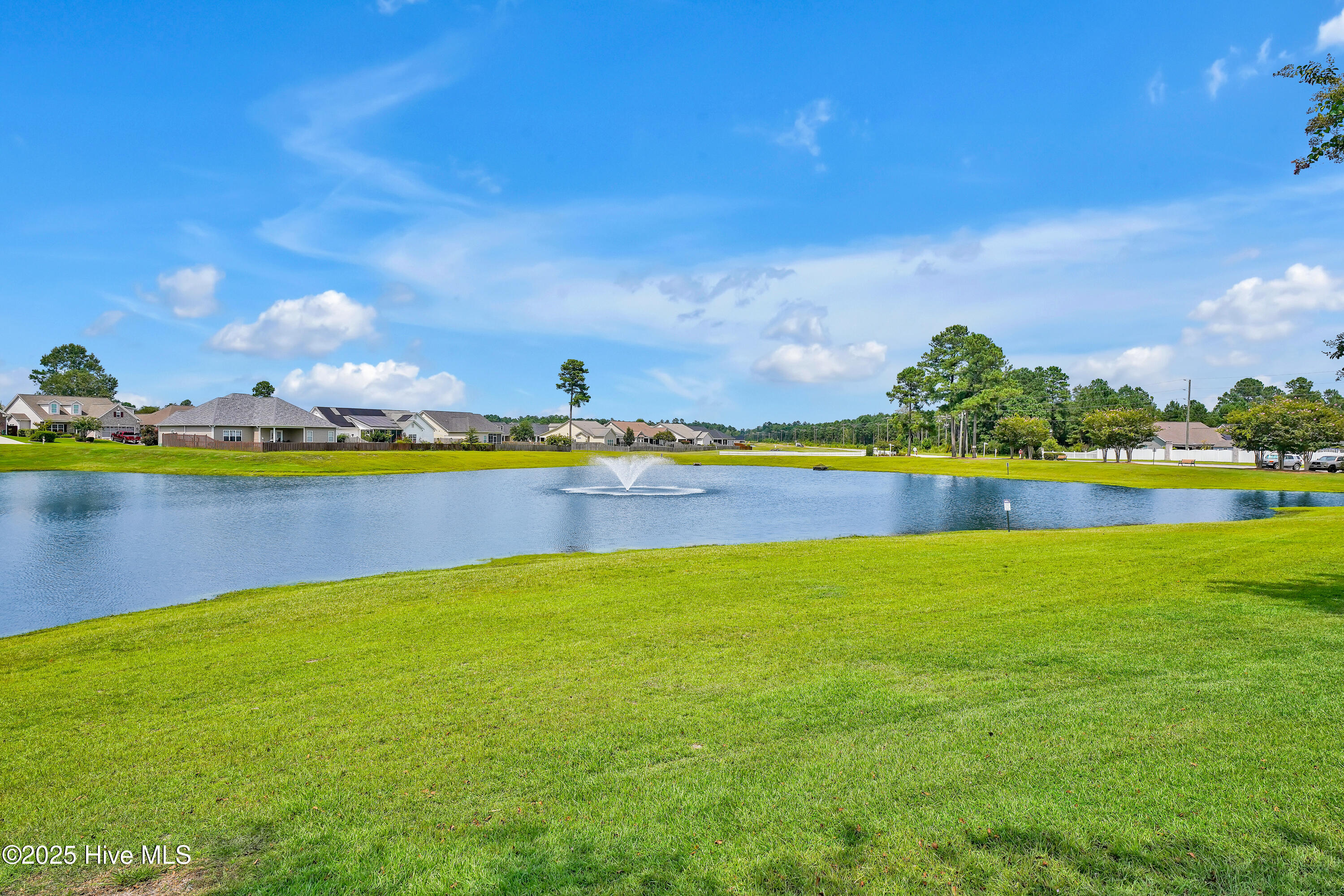1130 Amber Pines Drive Property Photo 32