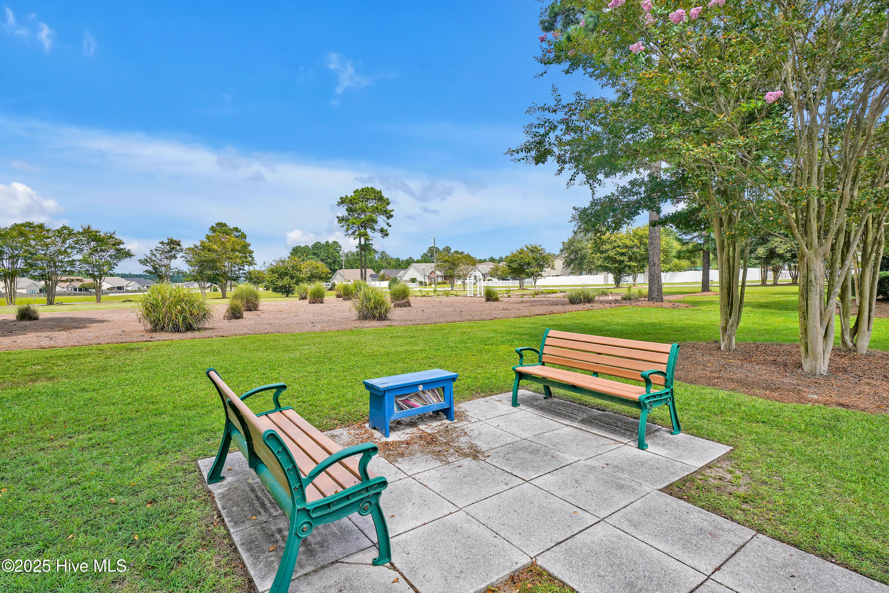 1130 Amber Pines Drive Property Photo 39
