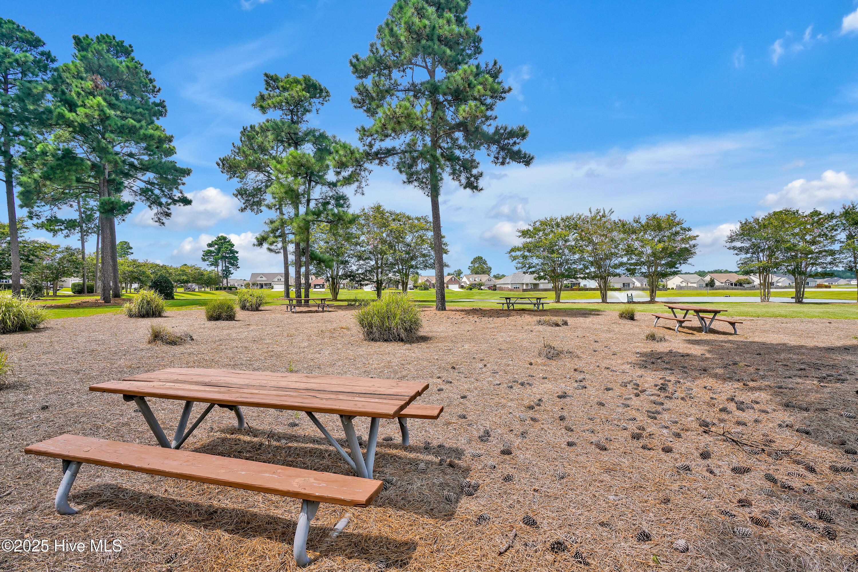 1130 Amber Pines Drive Property Photo 40