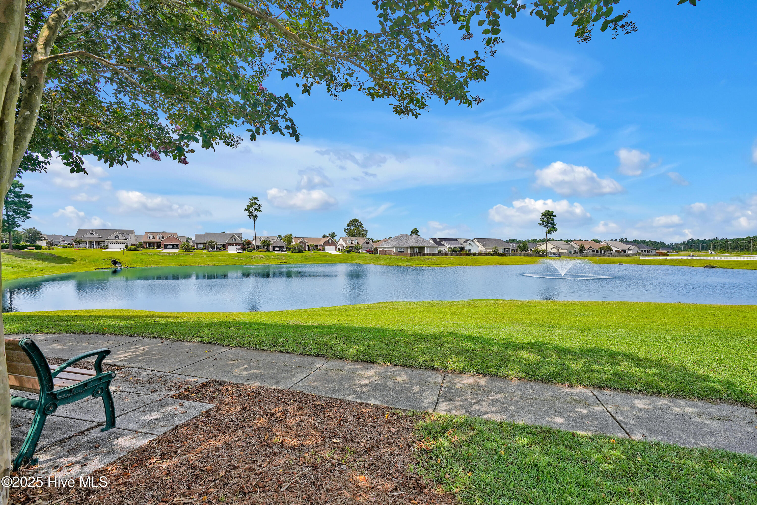 1130 Amber Pines Drive Property Photo 41