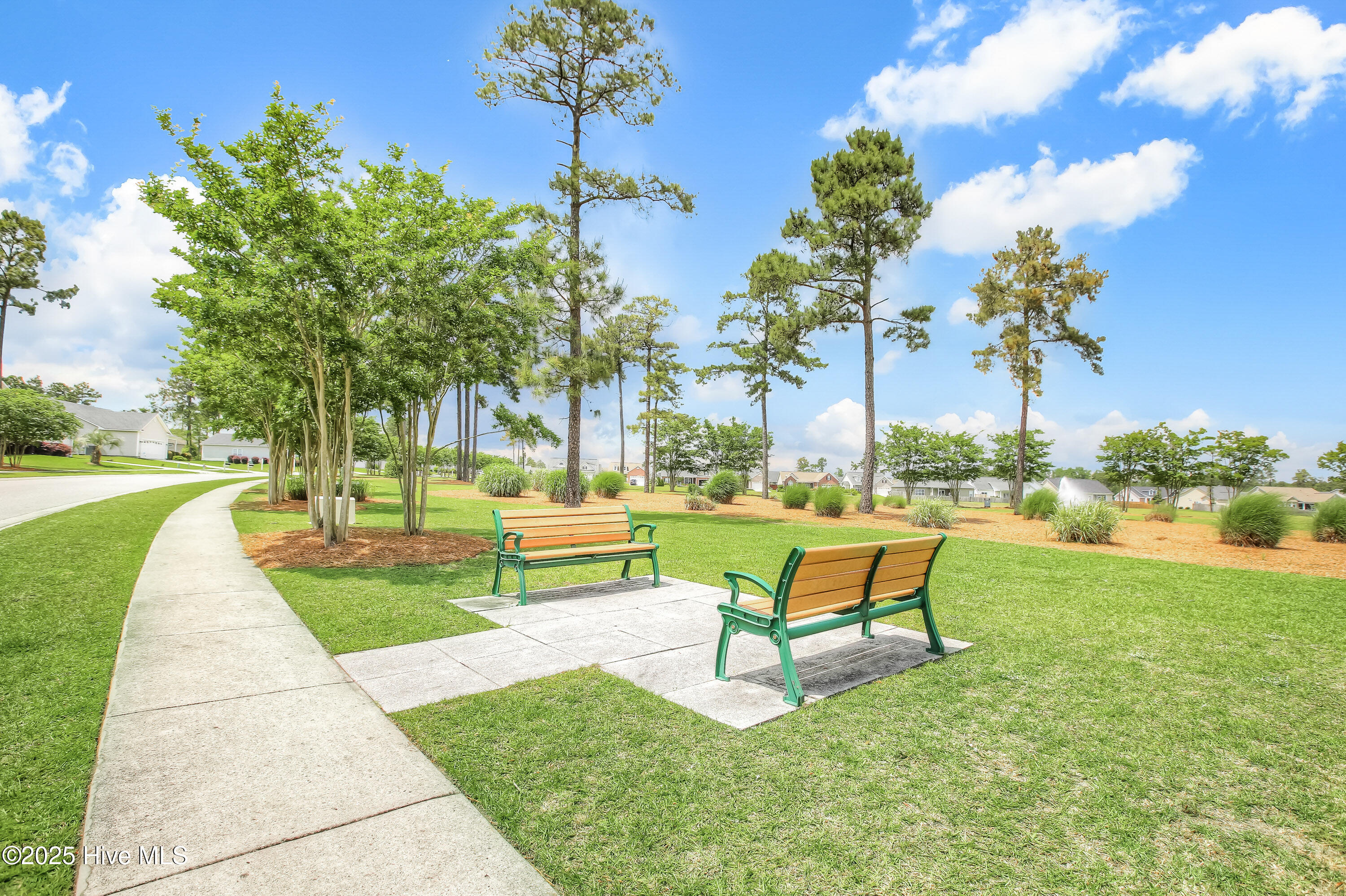 1130 Amber Pines Drive Property Photo 43