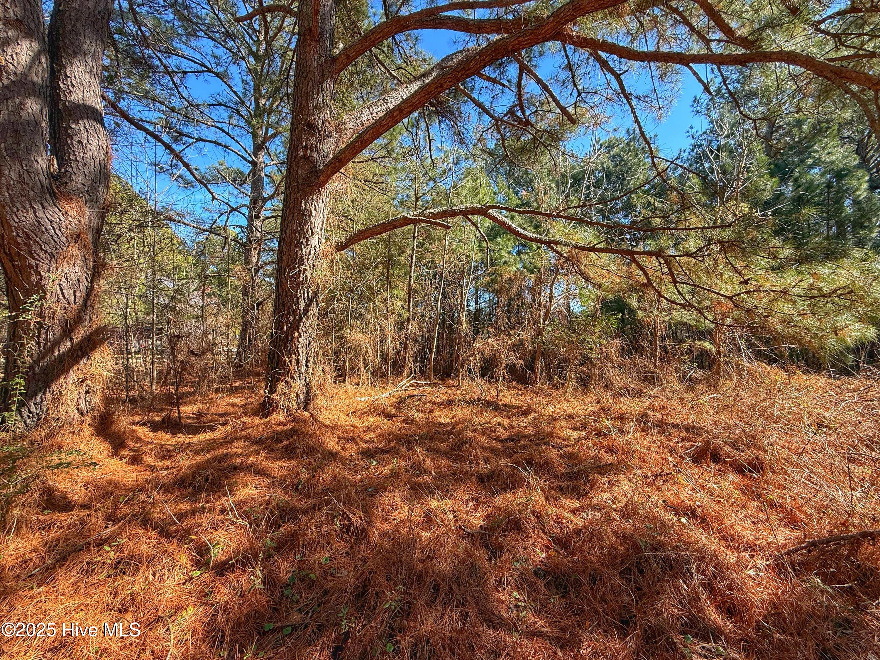 0 Appache Drive Property Photo 21