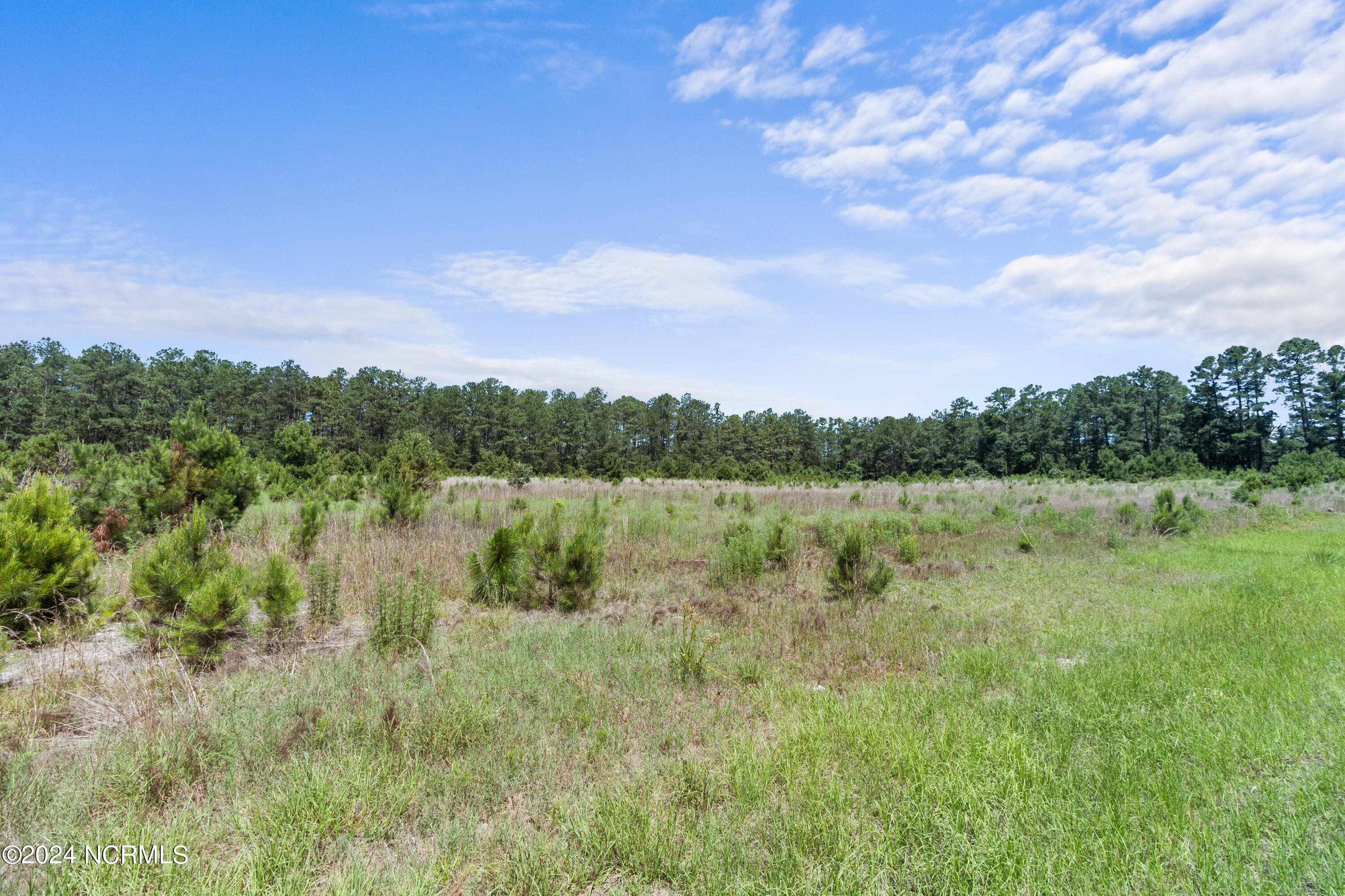 Tbd Bowman Rd Property Photo 7